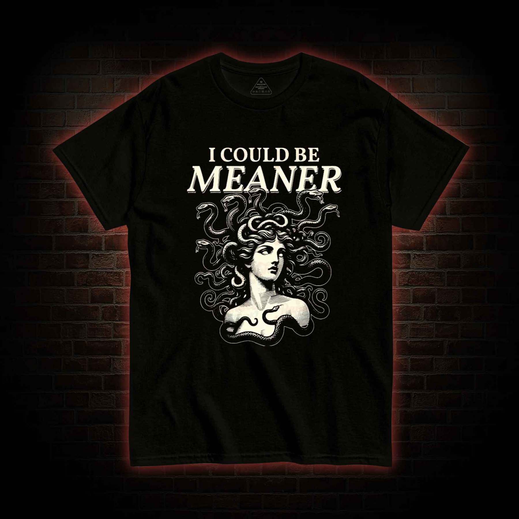 I Could be Meaner T-shirt