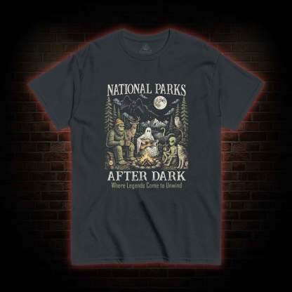 National Parks After Dark T-shirt