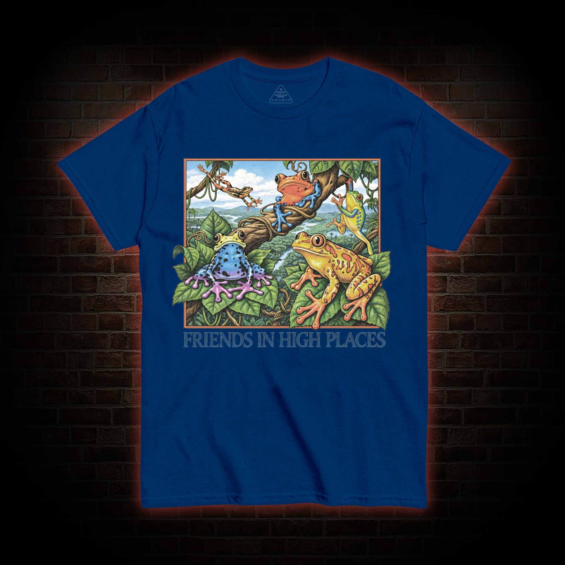 Friends in High Places T-shirt