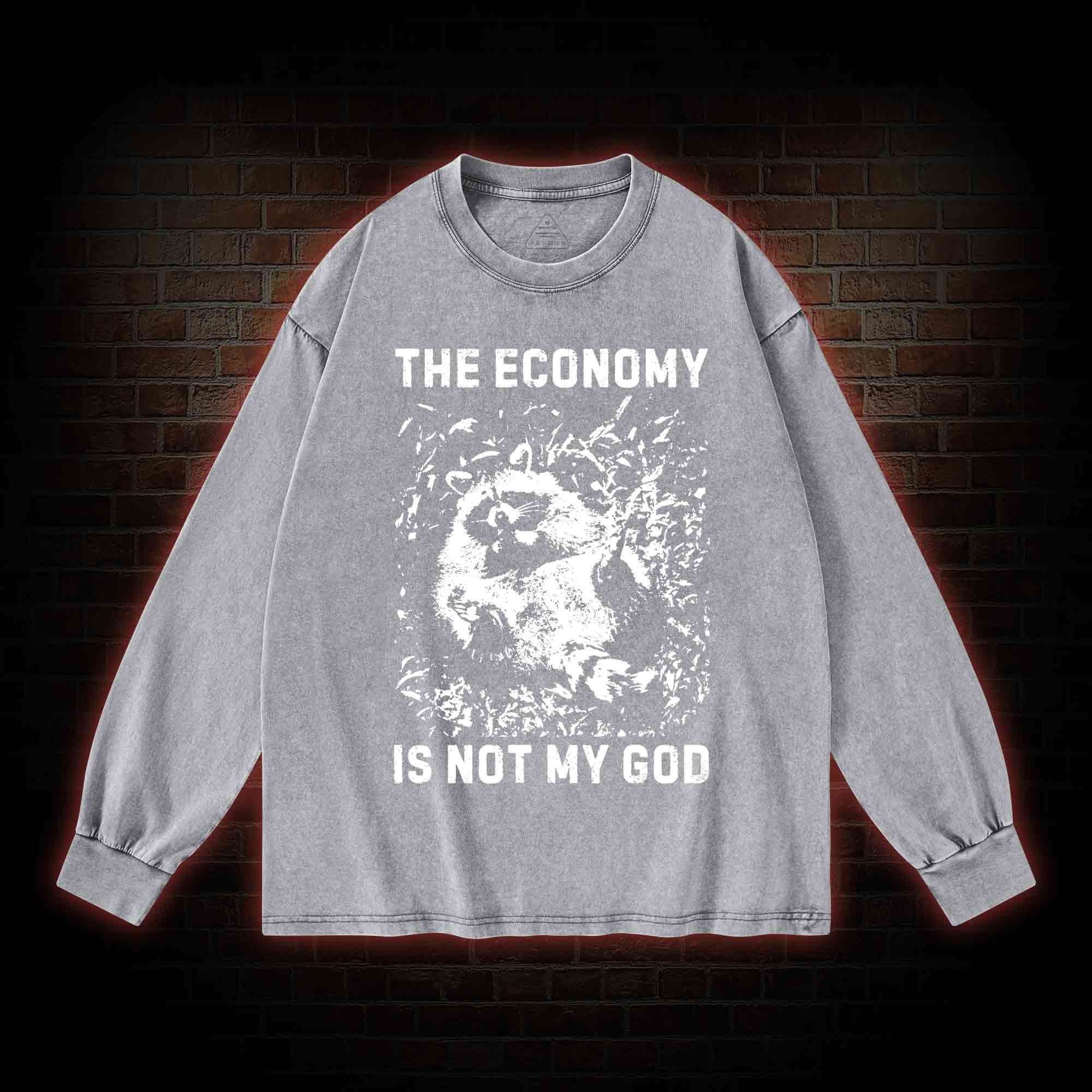Anarchist Raccoon Economy is Not My God Washed Long-Sleeve T-shirt