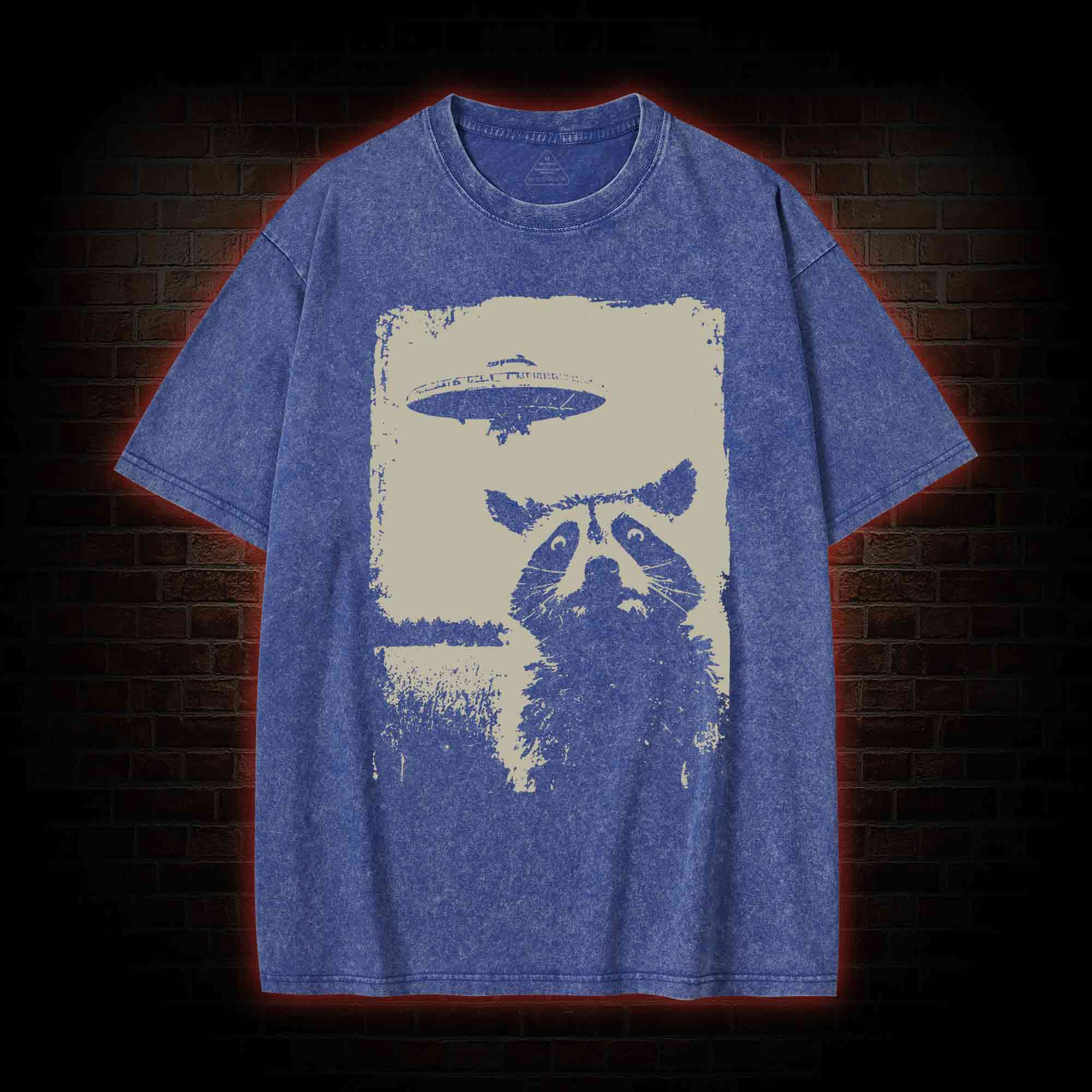 Raccoon UFO Washed T-shirt