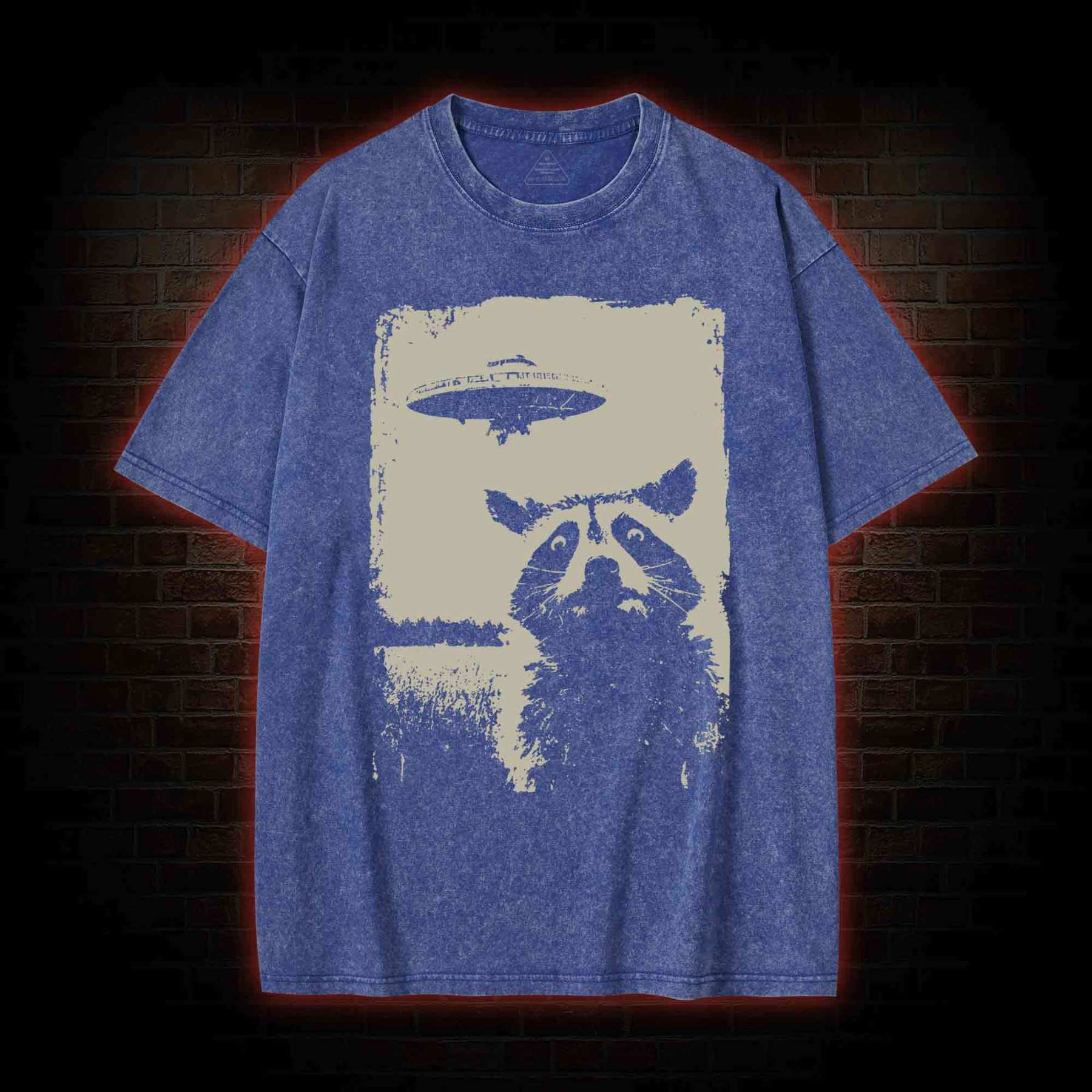 Raccoon UFO Washed T-shirt