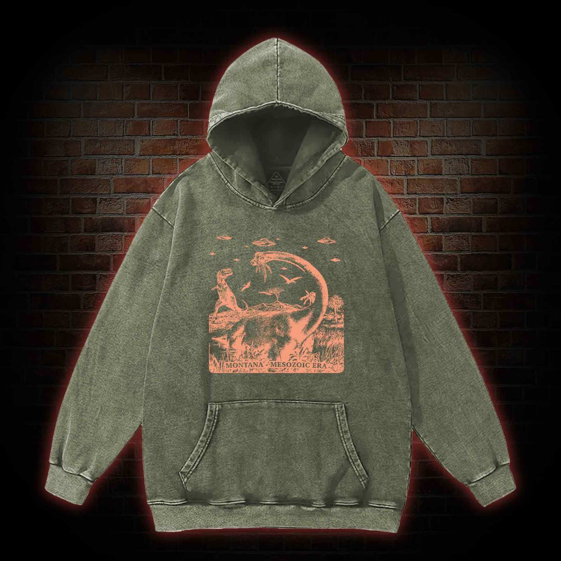 Montana Mesozoic Era Washed Hoodie