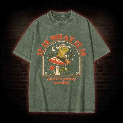 It Is What It Is Washed T-shirt