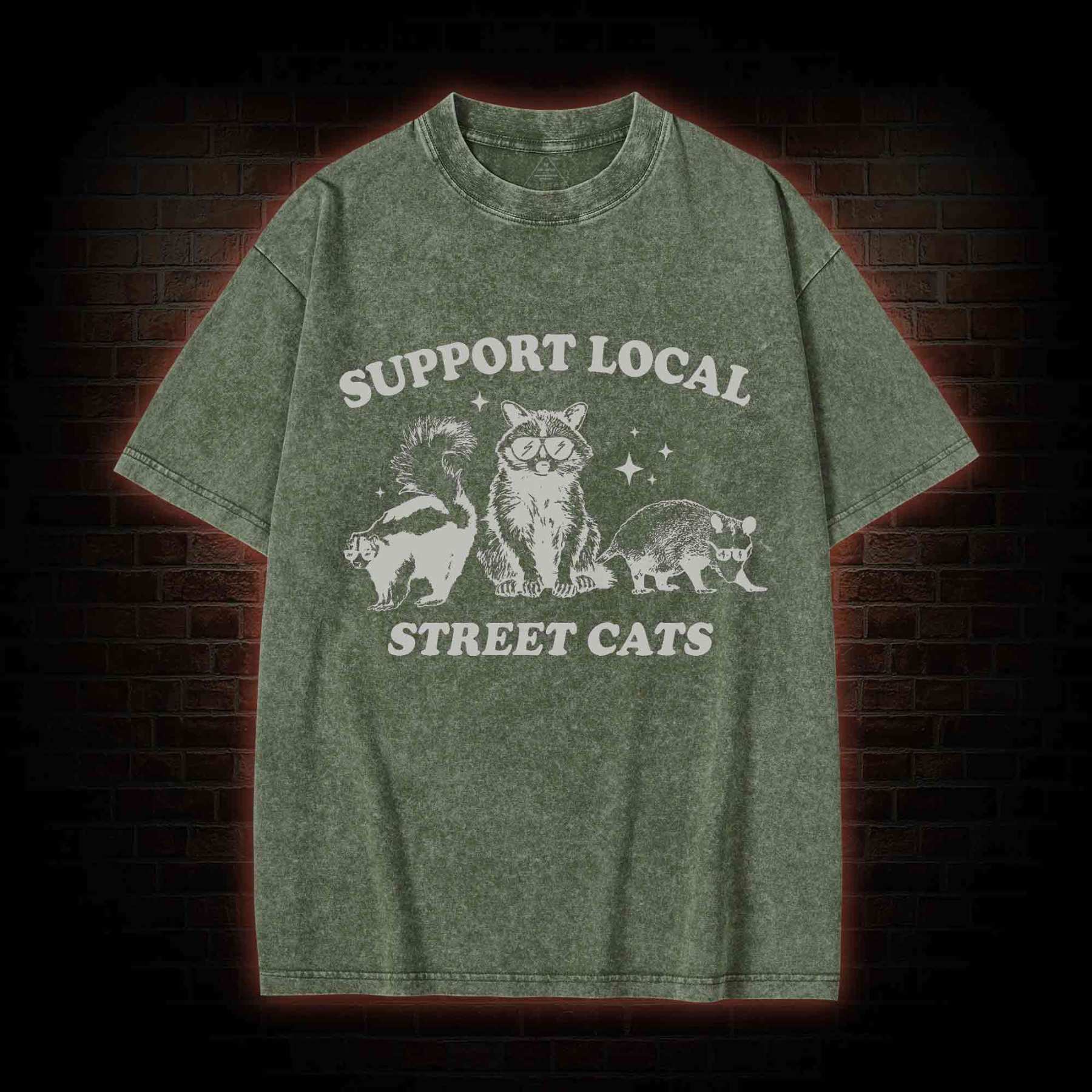 Support Local Street Cats Washed T-shirt