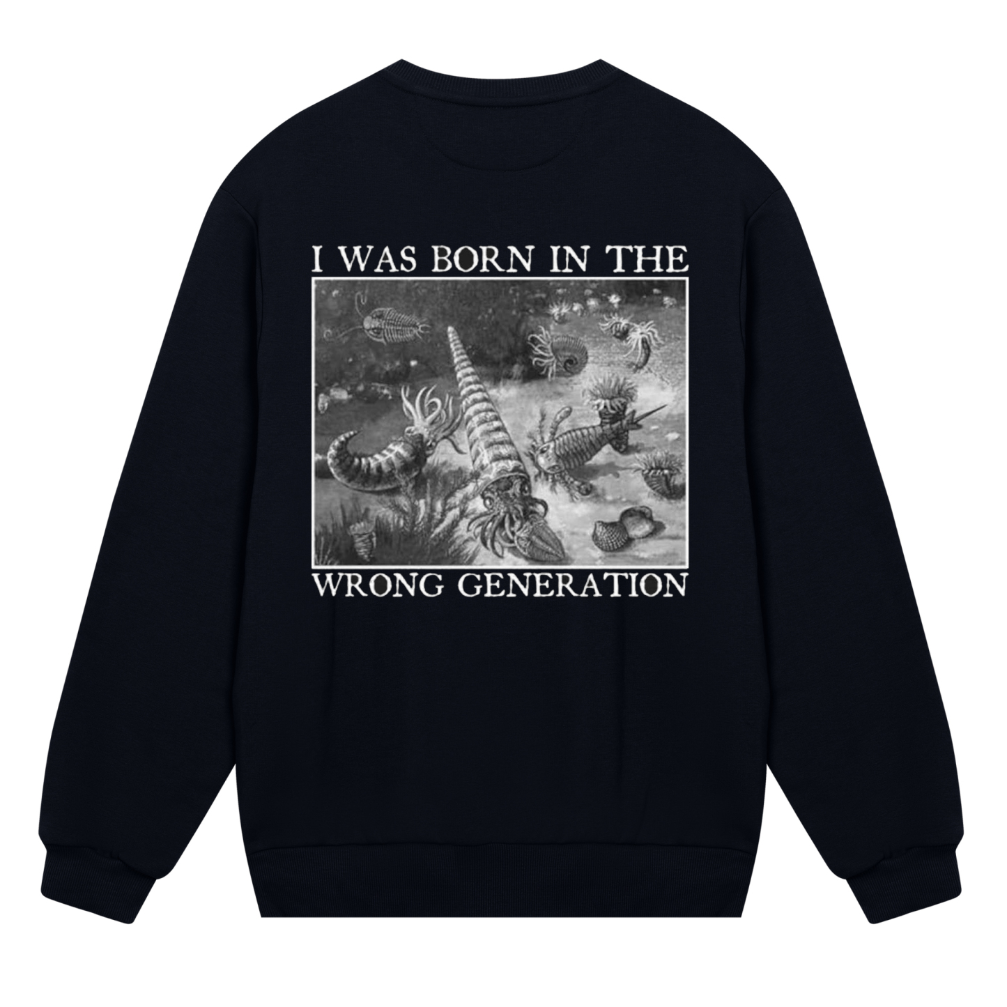 I Was Born In The Wrong Generation Sweatshirt