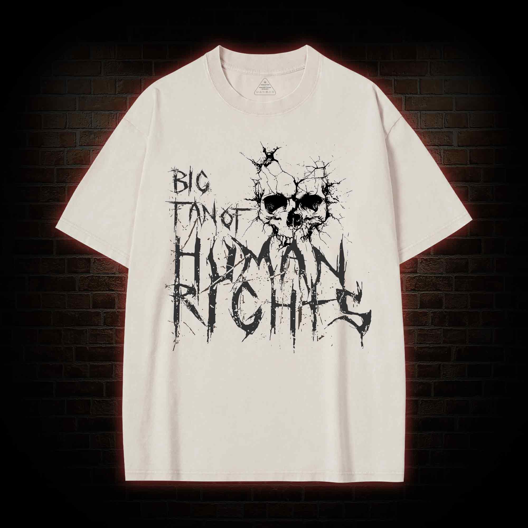 Big Fan of Human Rights Washed T-shirt