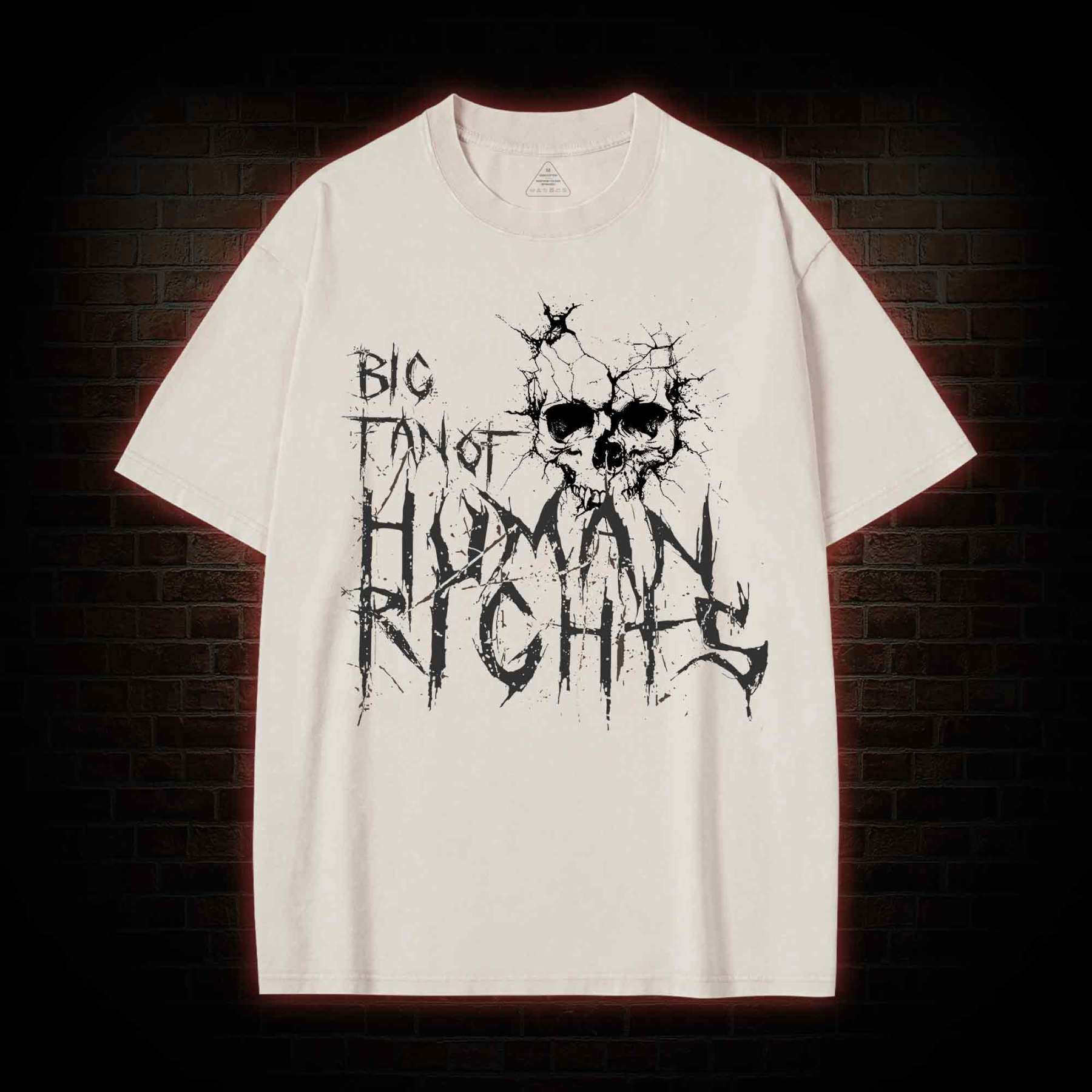 Big Fan of Human Rights Washed T-shirt