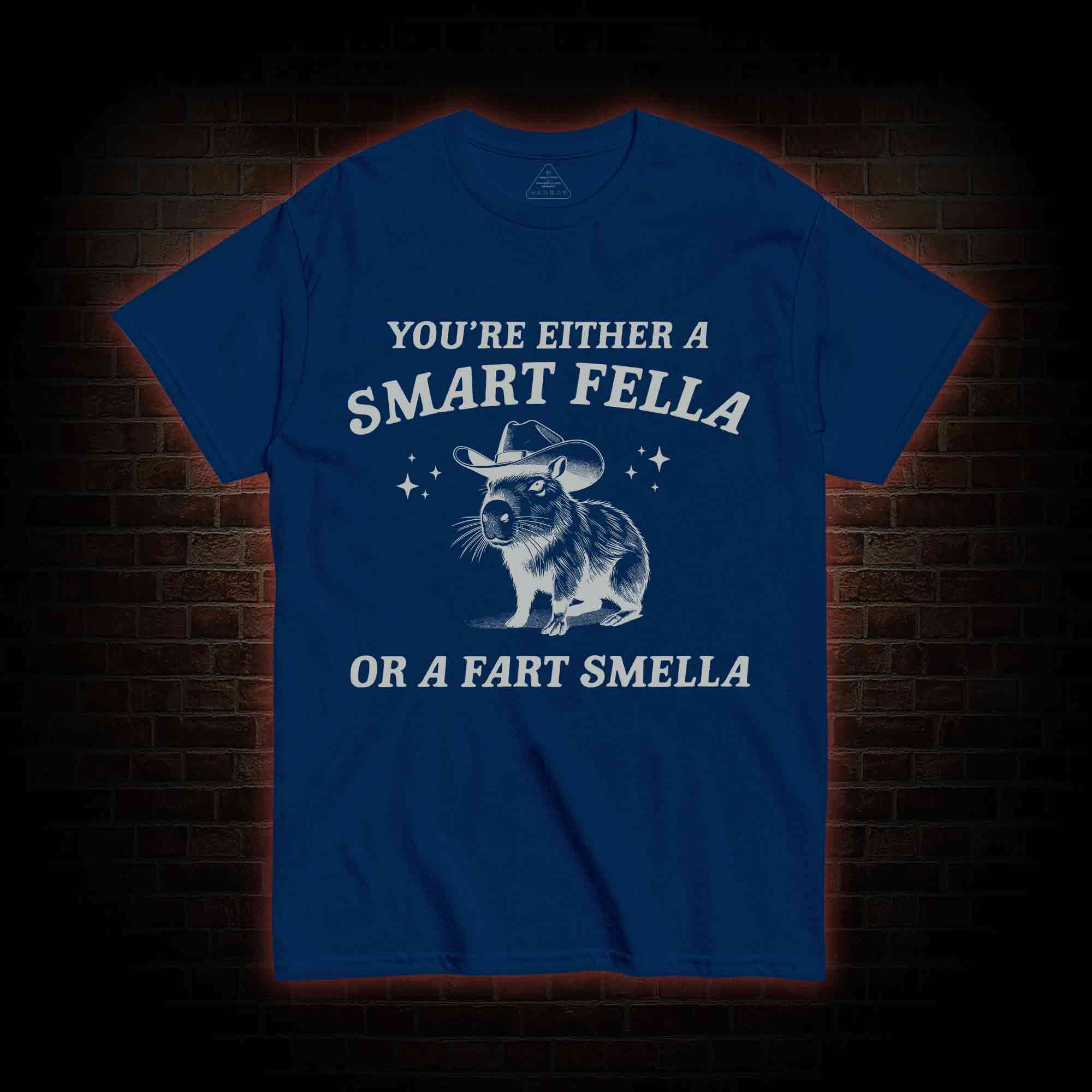 Smart Fella Or Fart Smella T-shirt