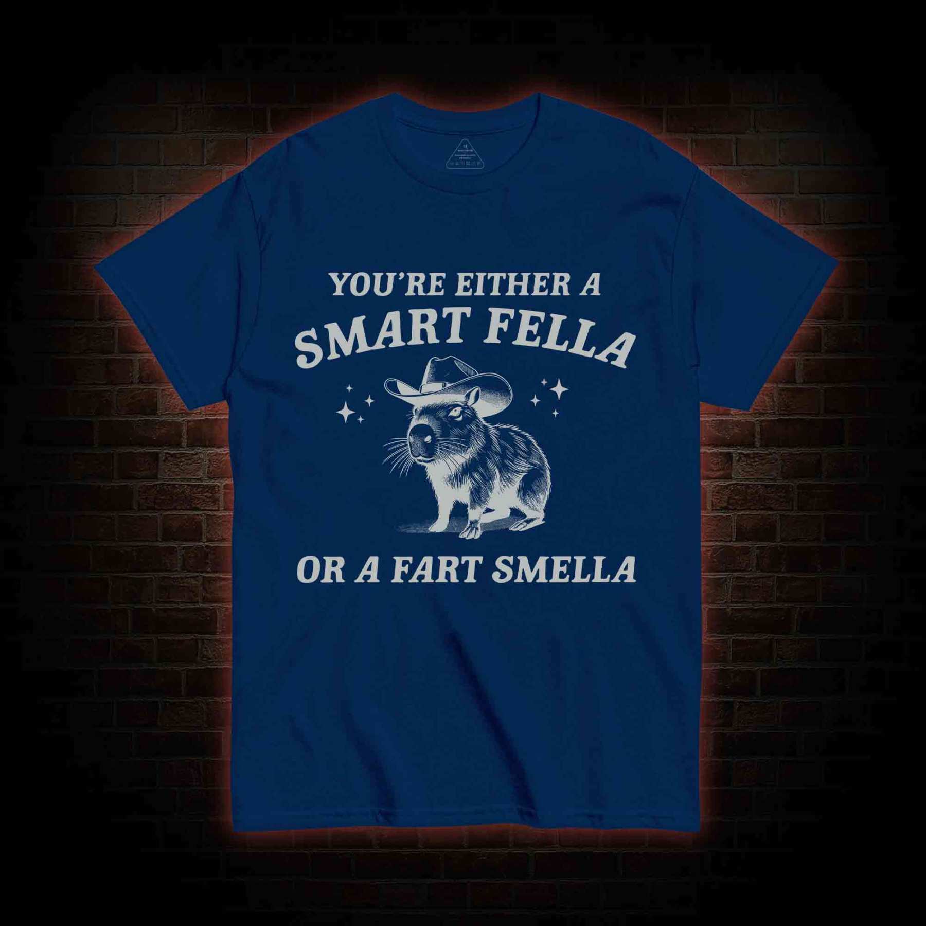 Smart Fella Or Fart Smella T-shirt