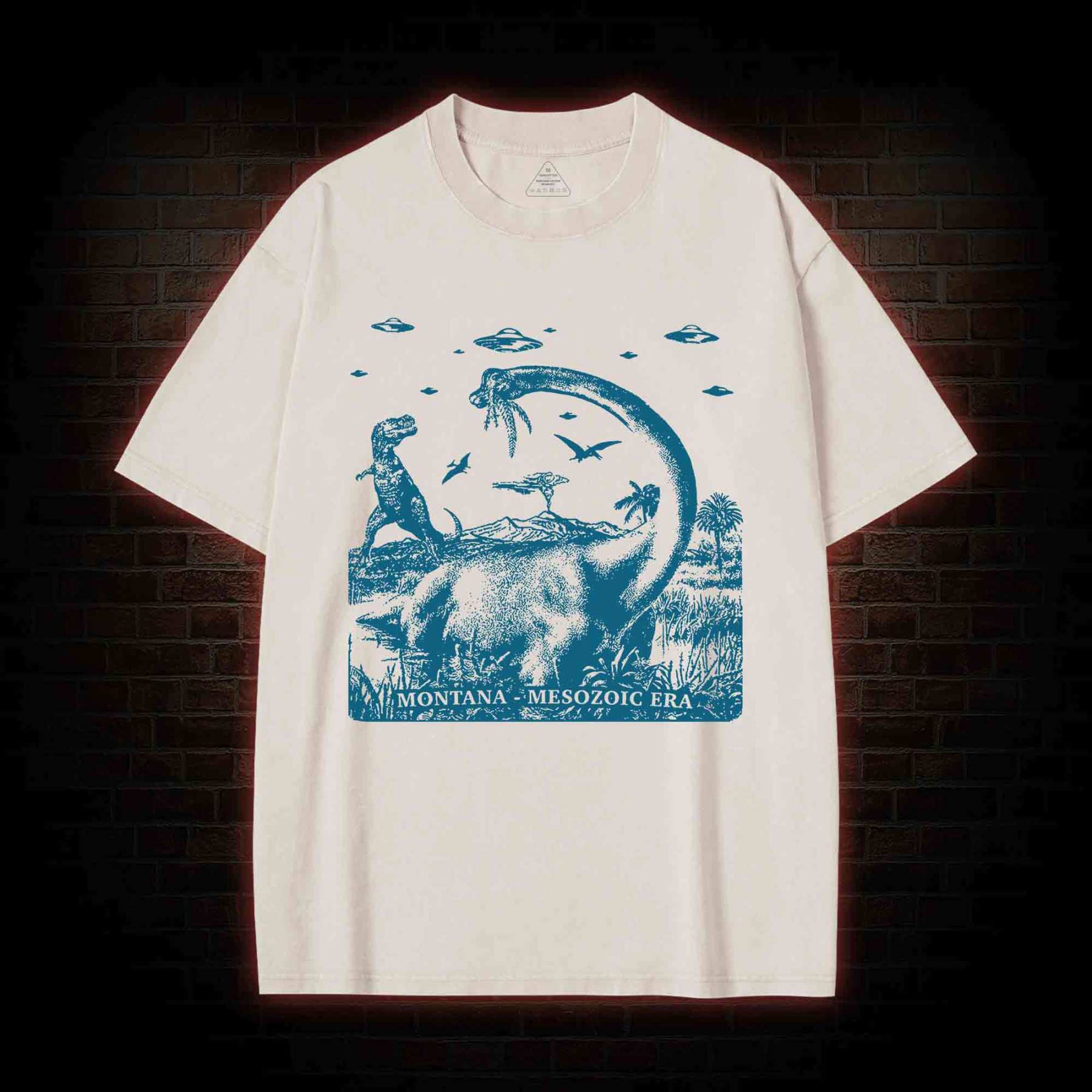 Montana Mesozoic Era Washed T-shirt