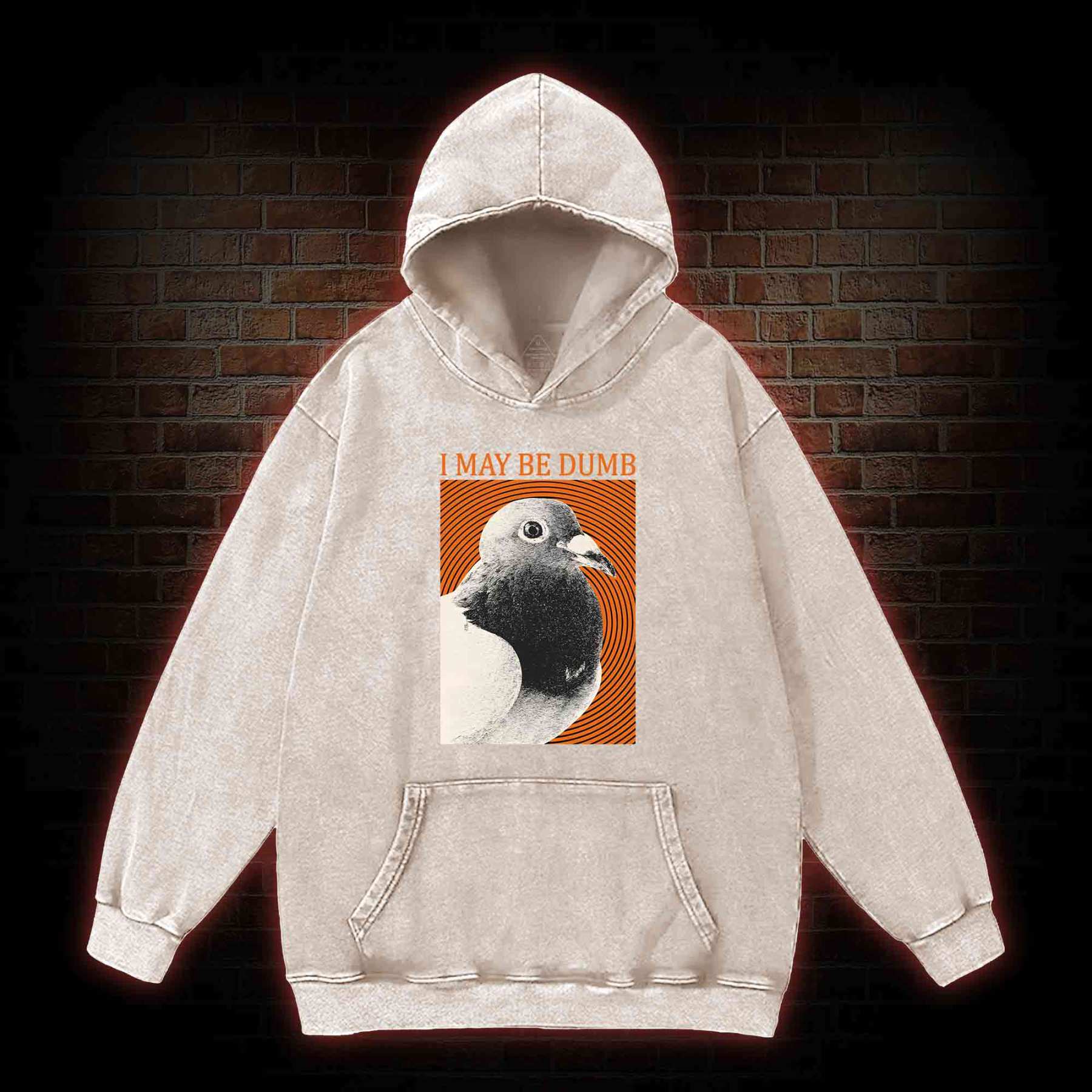 I May Be Dumb Washed Hoodie
