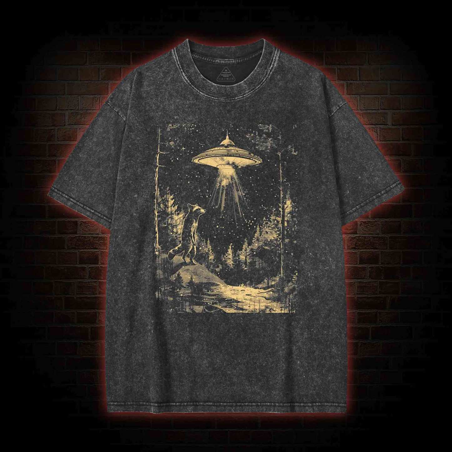 UFO and Raccoons Washed T-shirt
