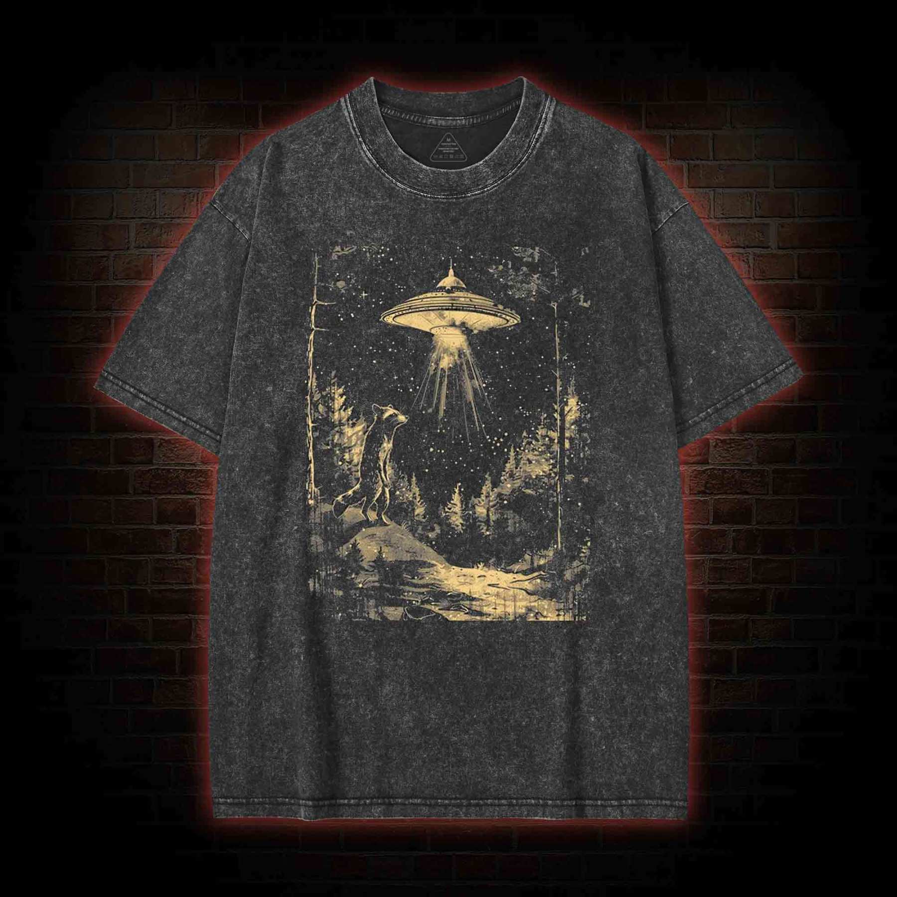 UFO and Raccoons Washed T-shirt