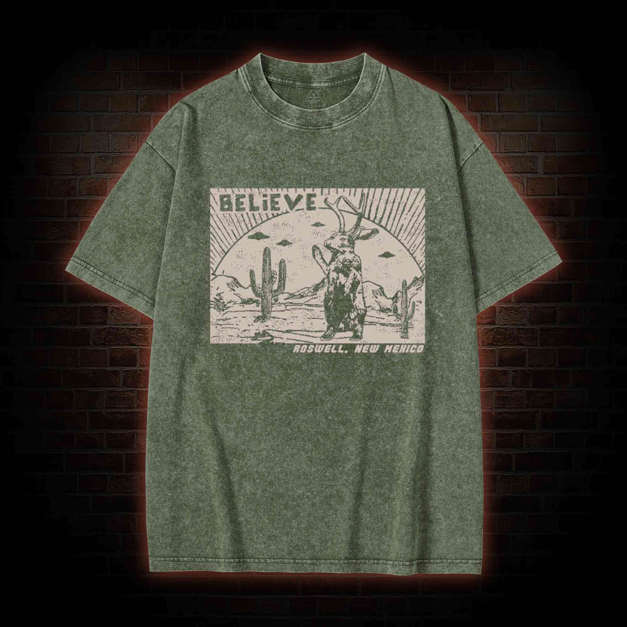 Believe Roswell New Nexico Washed T-shirt