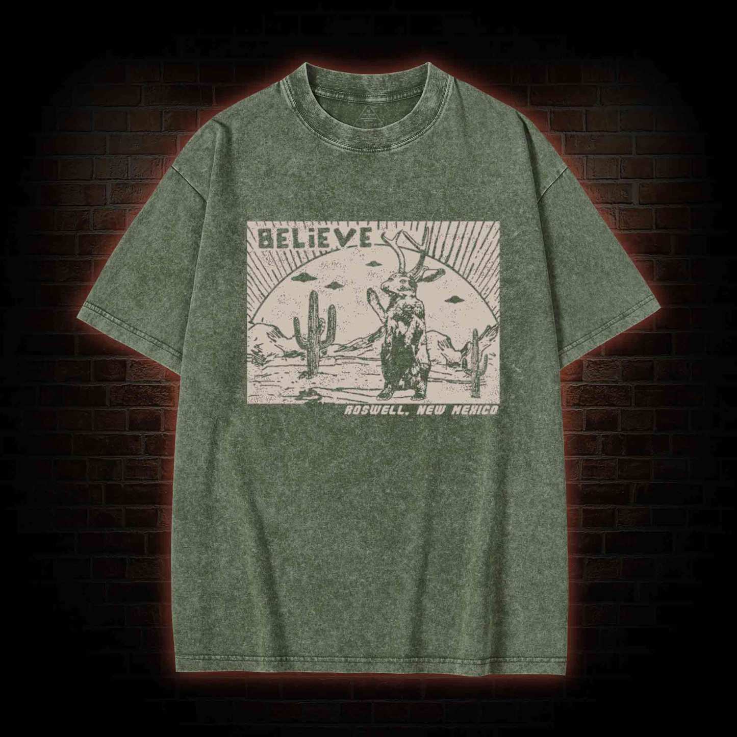 Believe Roswell New Nexico Washed T-shirt