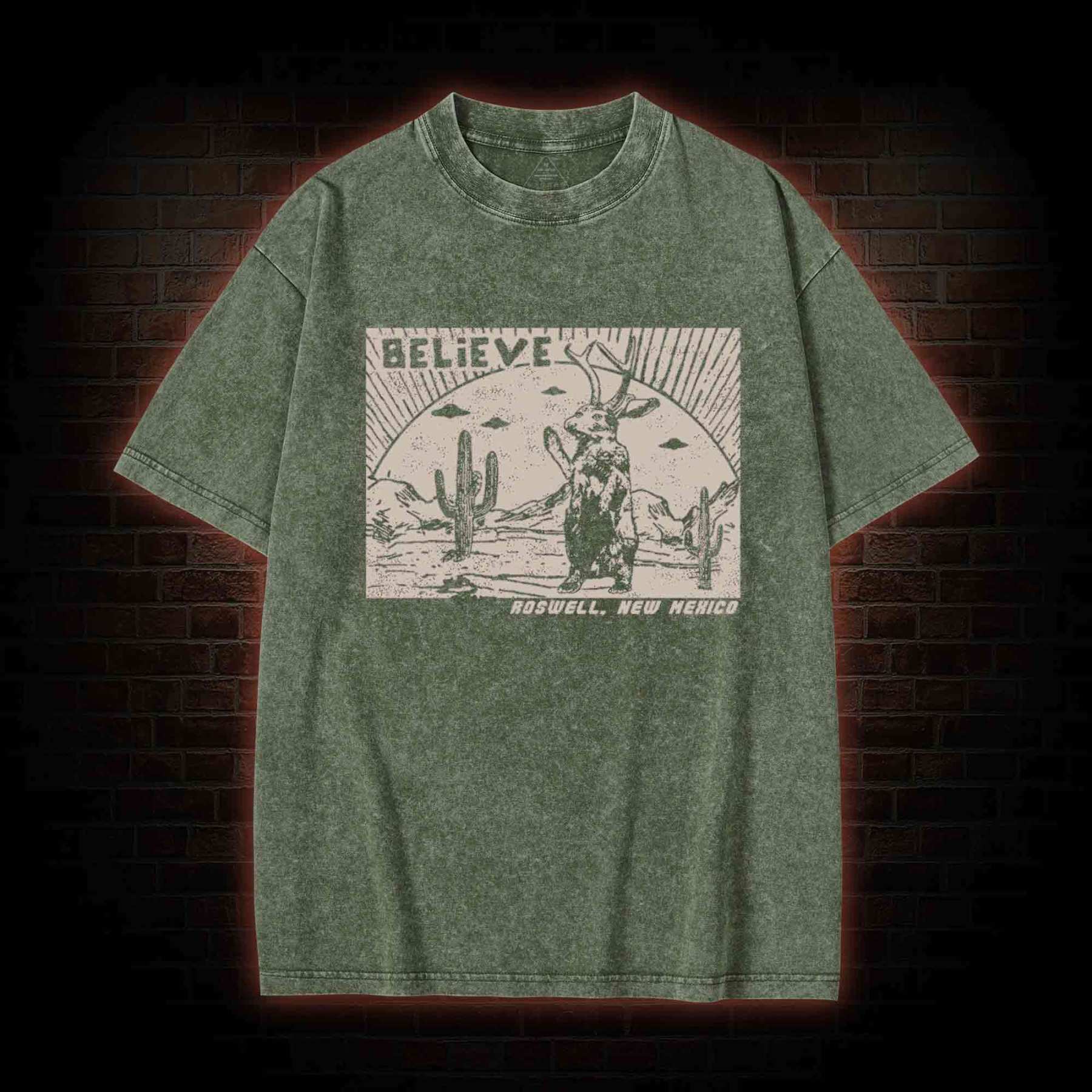 Believe Roswell New Nexico Washed T-shirt