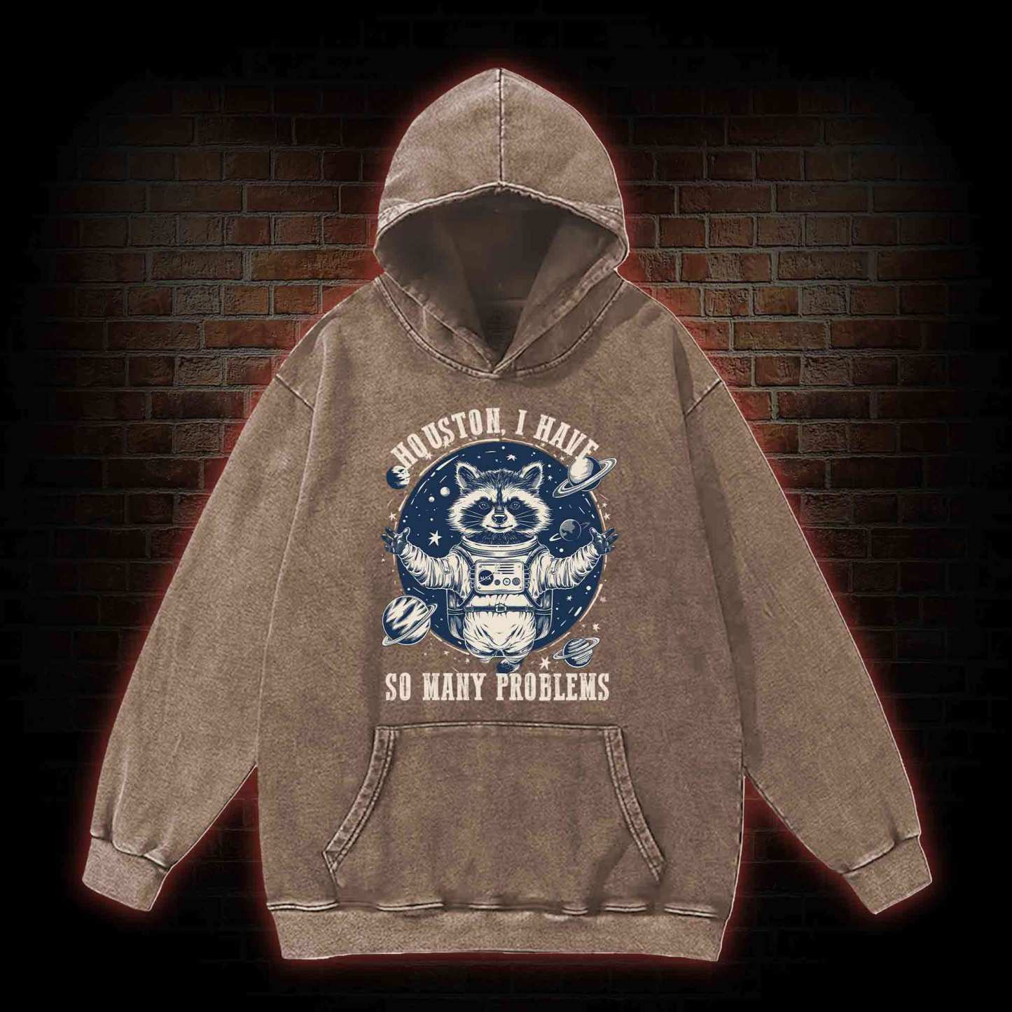 Houston I Have So Many Problems Raccoon Washed Hoodie