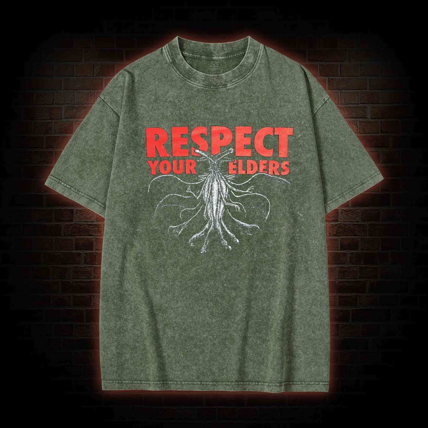 Respect Your Elders Washed T-shirt