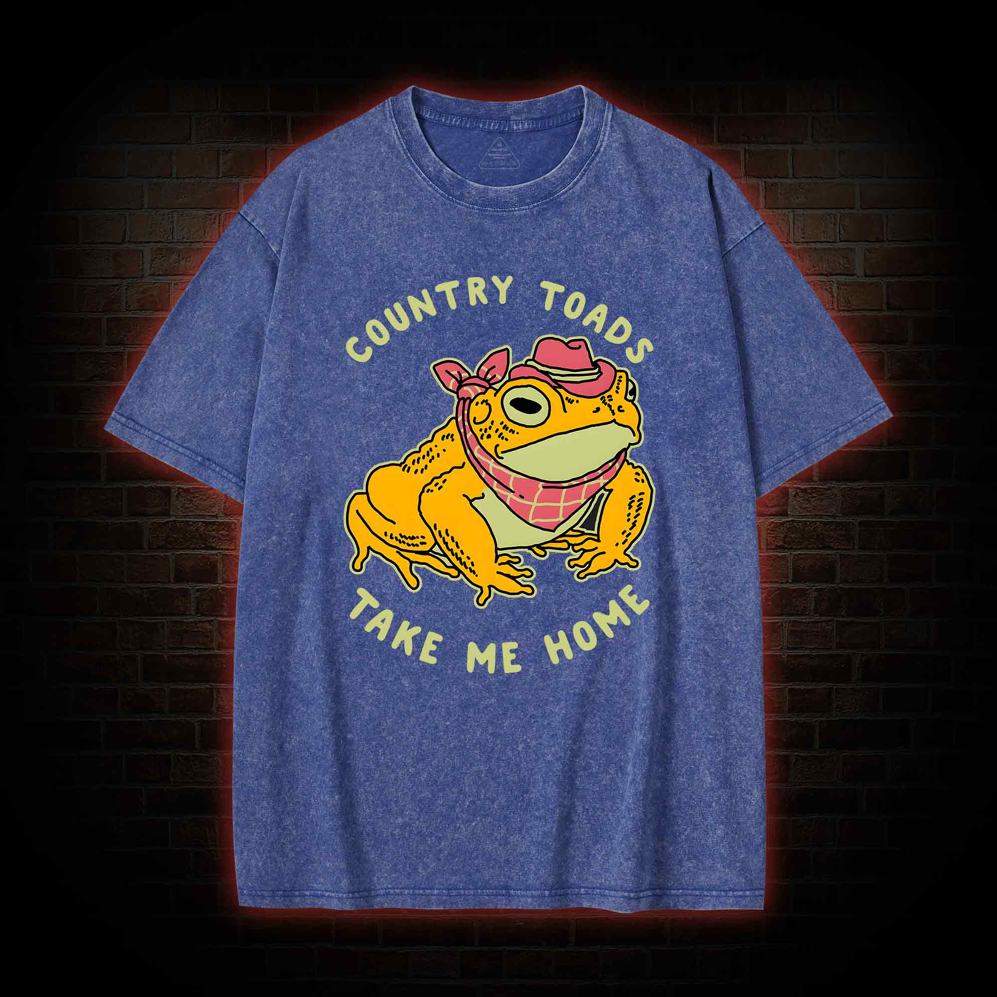 Country Toads Take Me Home Washed T-shirt