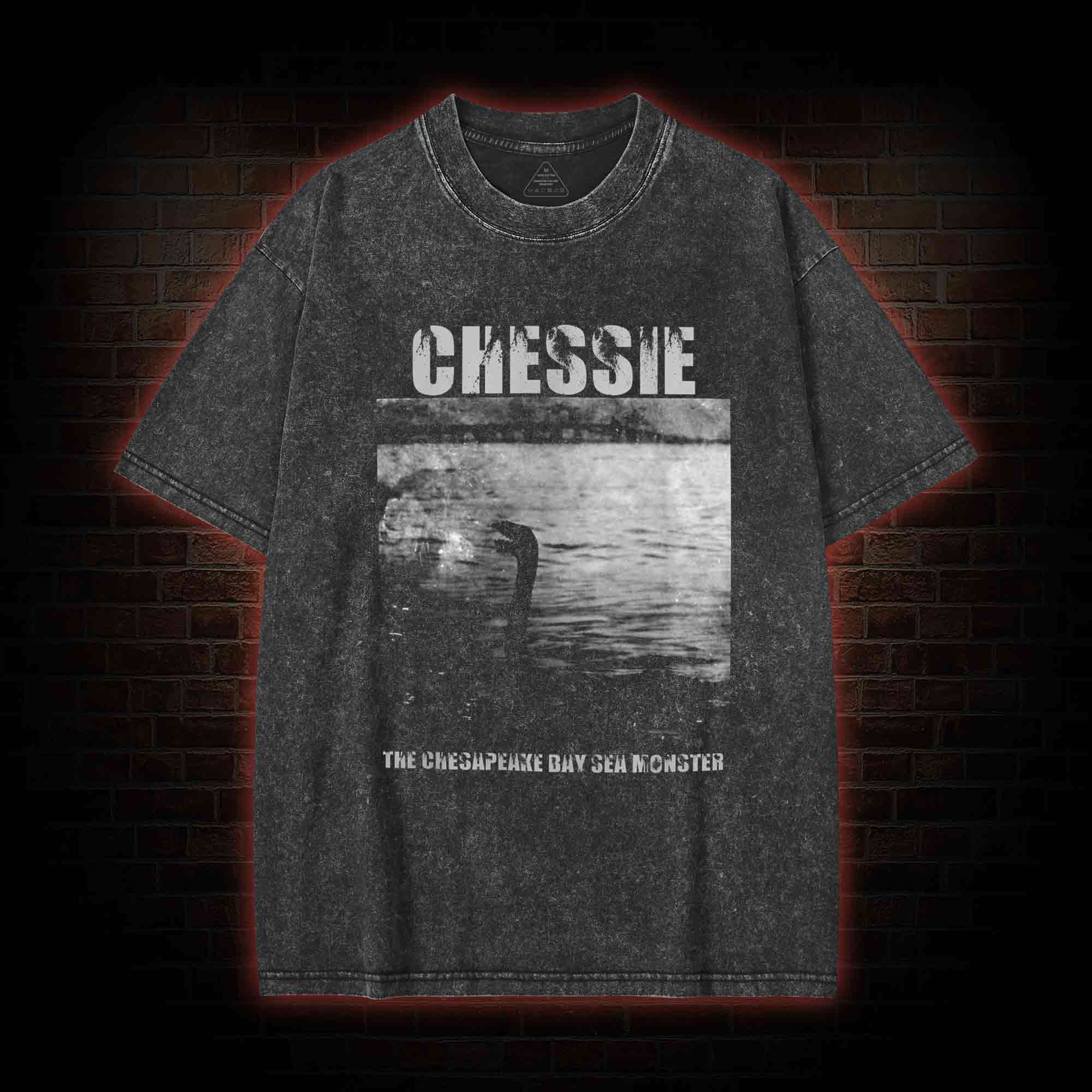 Chessie Washed T-shirt