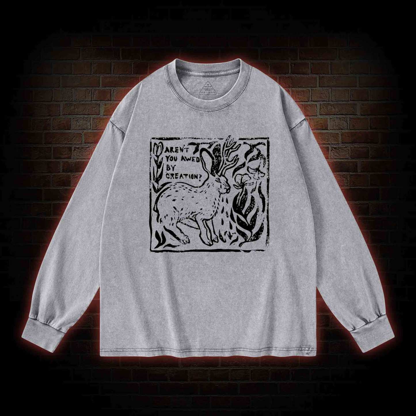 Aren't You Awed by Creation Washed Long-Sleeve T-shirt