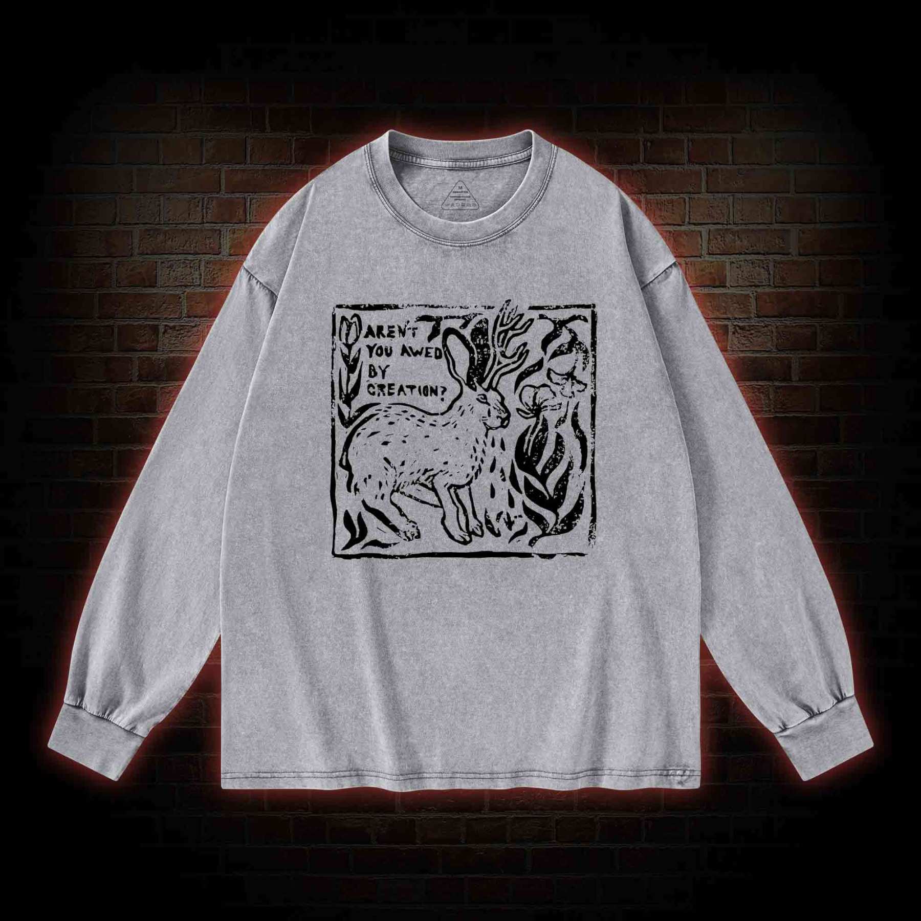 Aren't You Awed by Creation Washed Long-Sleeve T-shirt