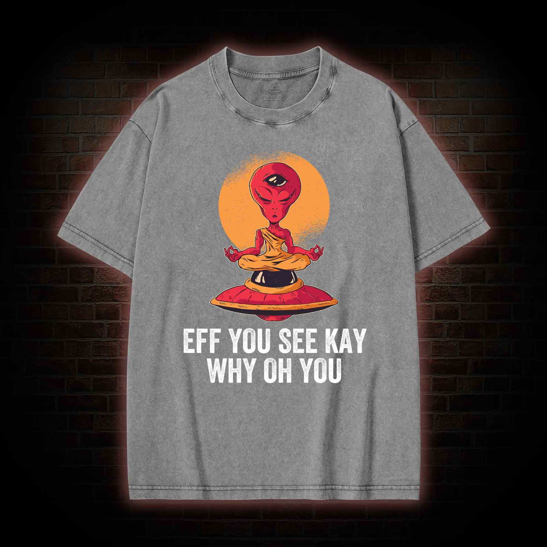 Eff You See Kay Why Oh You Alien Washed T-shirt