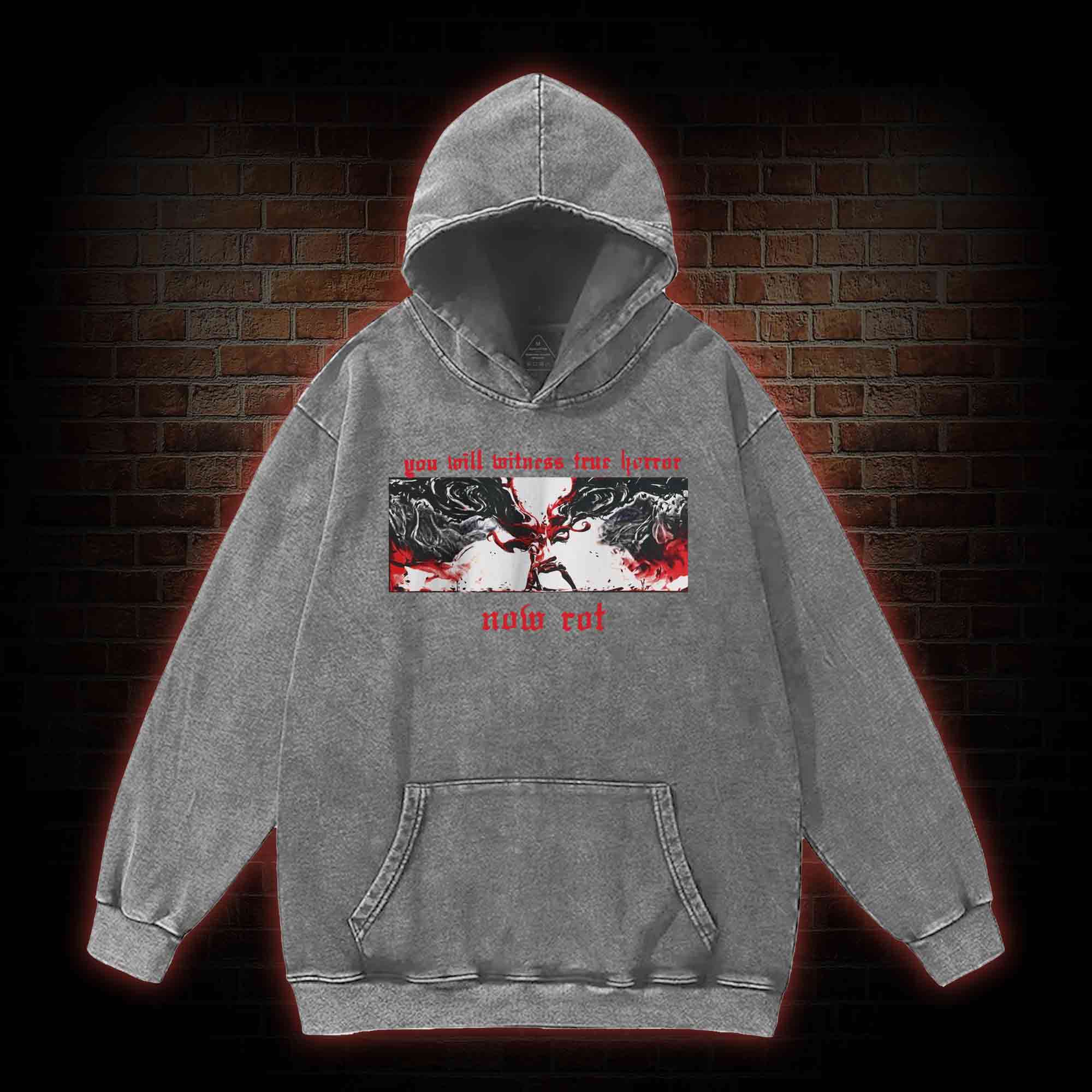 Put These Foolish Ambitions to Rest Washed Hoodie
