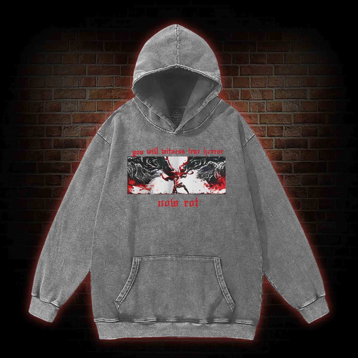 Put These Foolish Ambitions to Rest Washed Hoodie