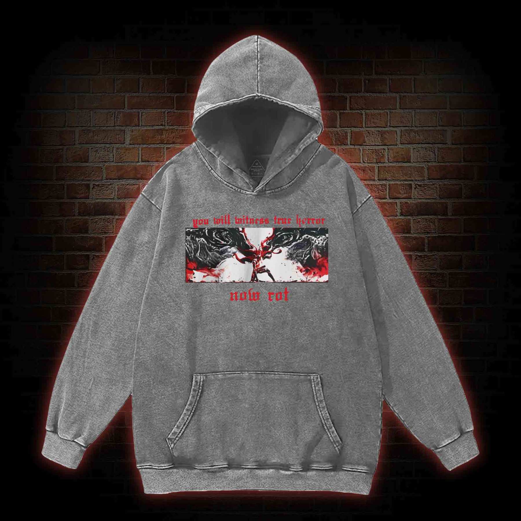 Put These Foolish Ambitions to Rest Washed Hoodie