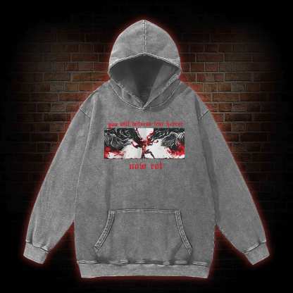 Put These Foolish Ambitions to Rest Washed Hoodie