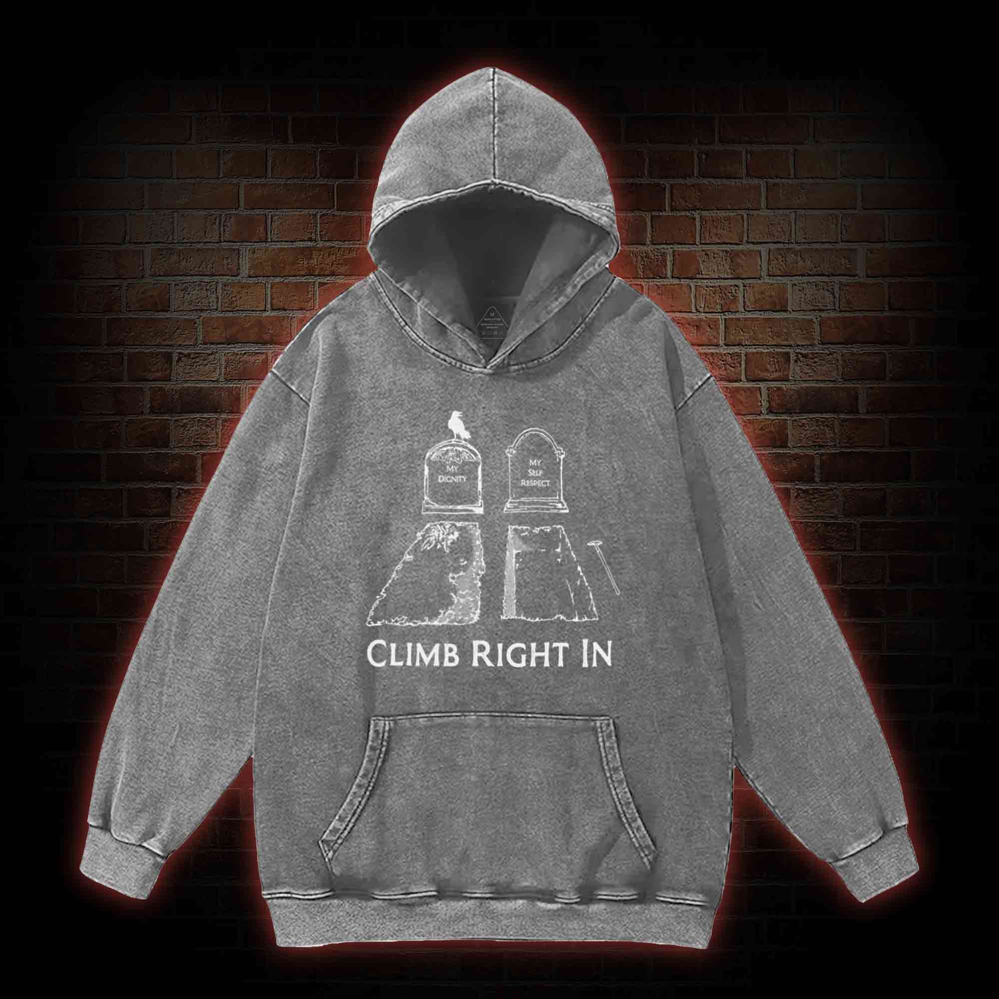Climb Right in Washed Hoodie