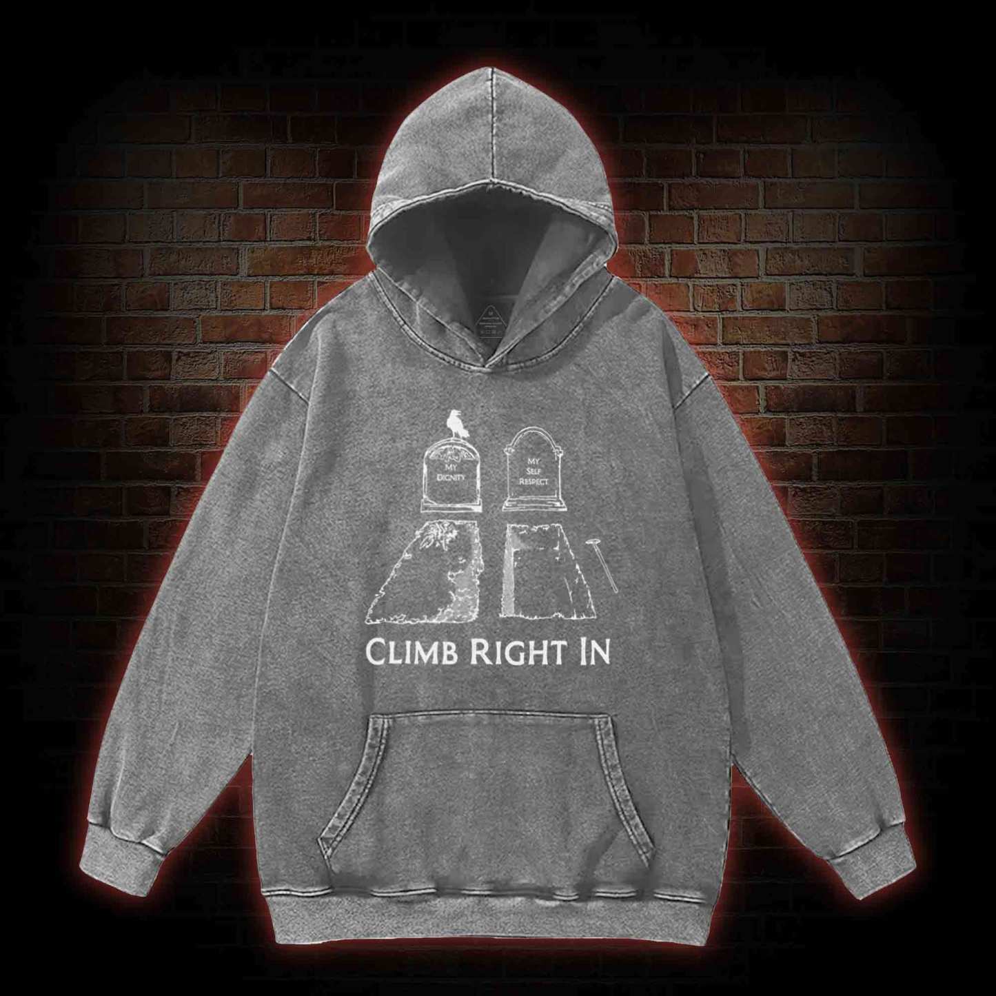 Climb Right in Washed Hoodie