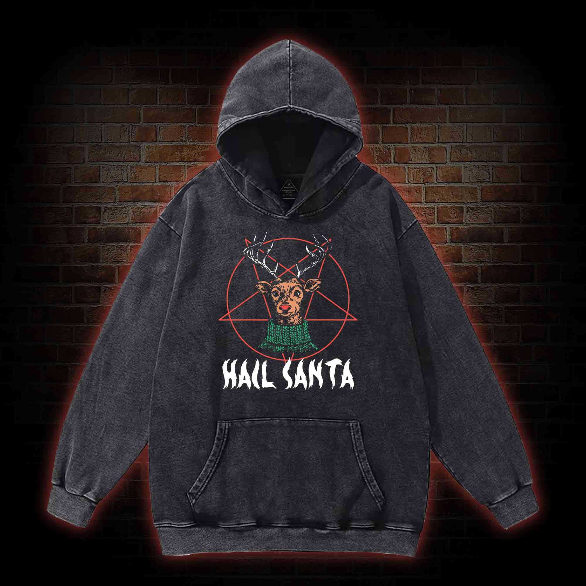 Hail Santa Washed Hoodie