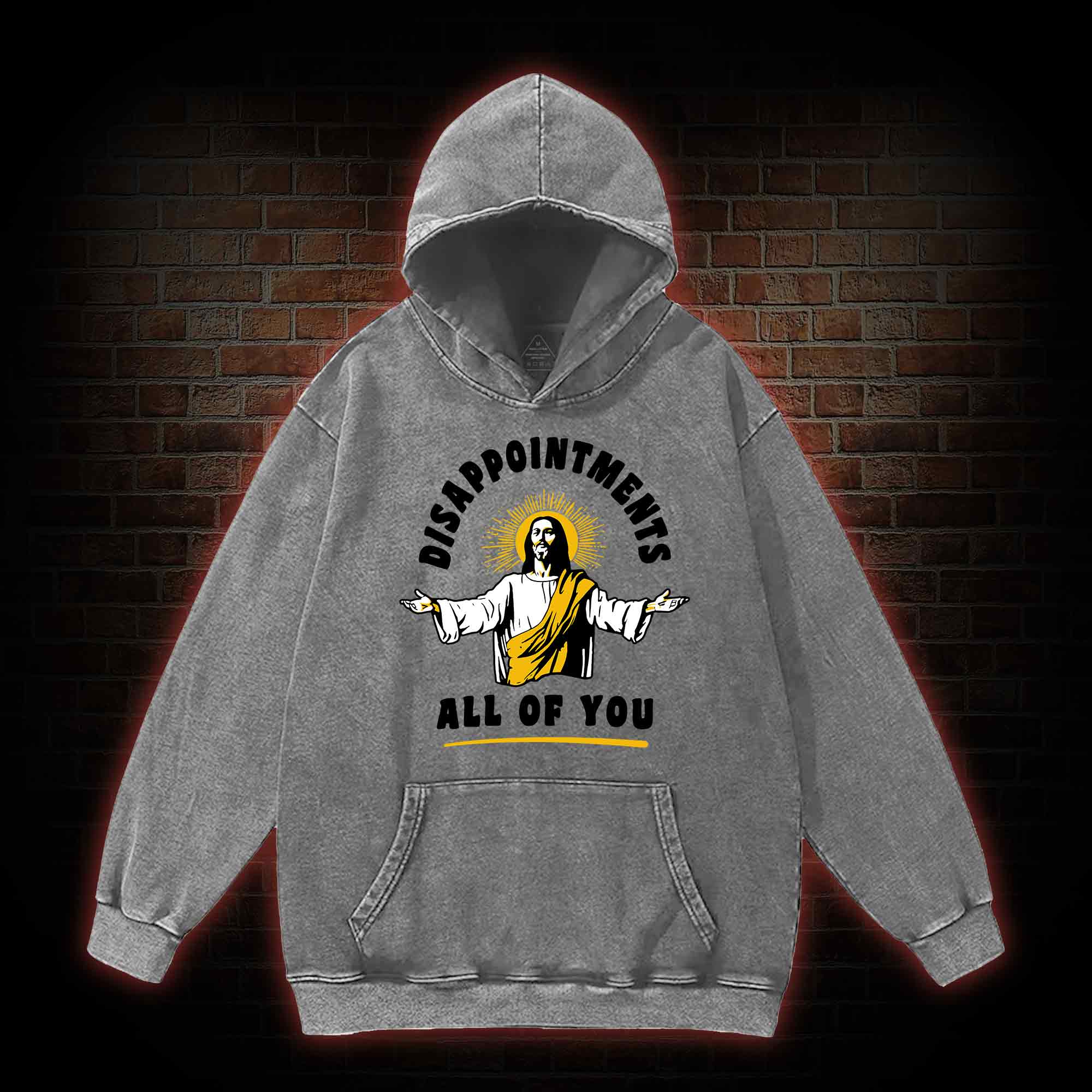 Disappointments All Of You Washed Hoodie