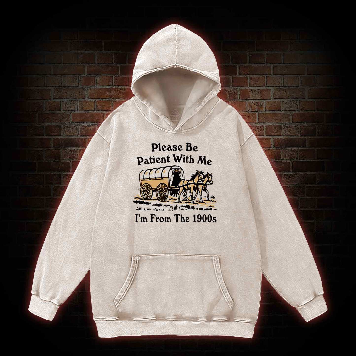 Please Be Patient With Me Washed Hoodie