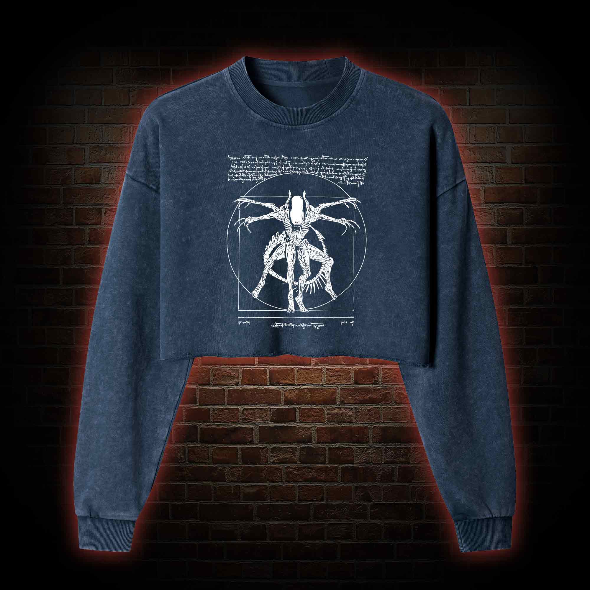 Alien Washed Cropped Sweatshirts