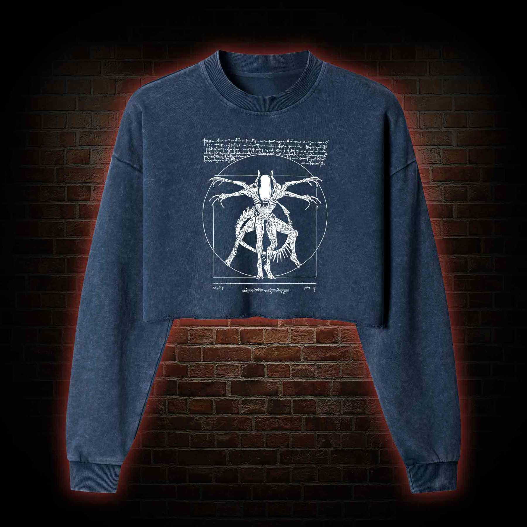 Alien Washed Cropped Sweatshirts