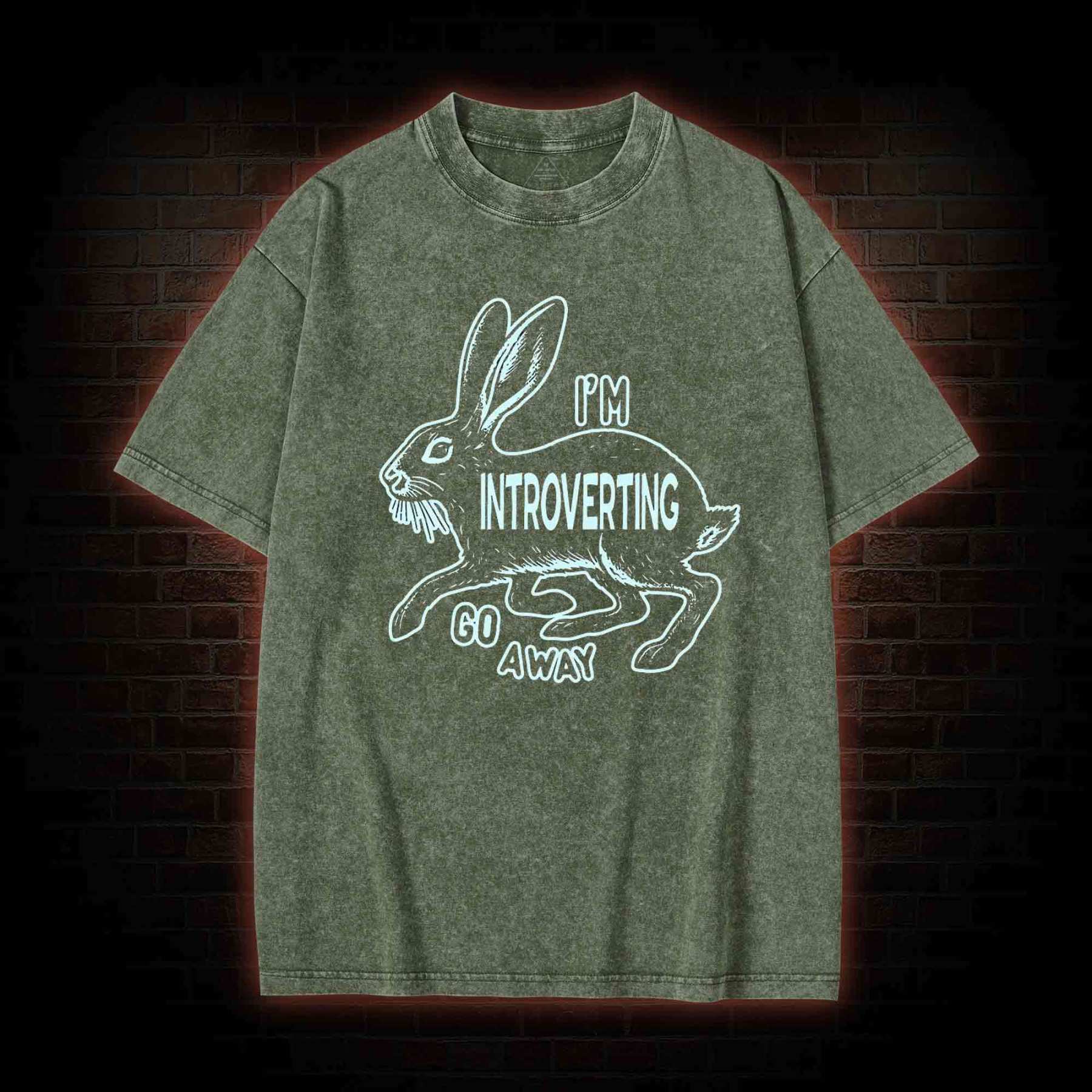I'm Introverting Washed T-shirt