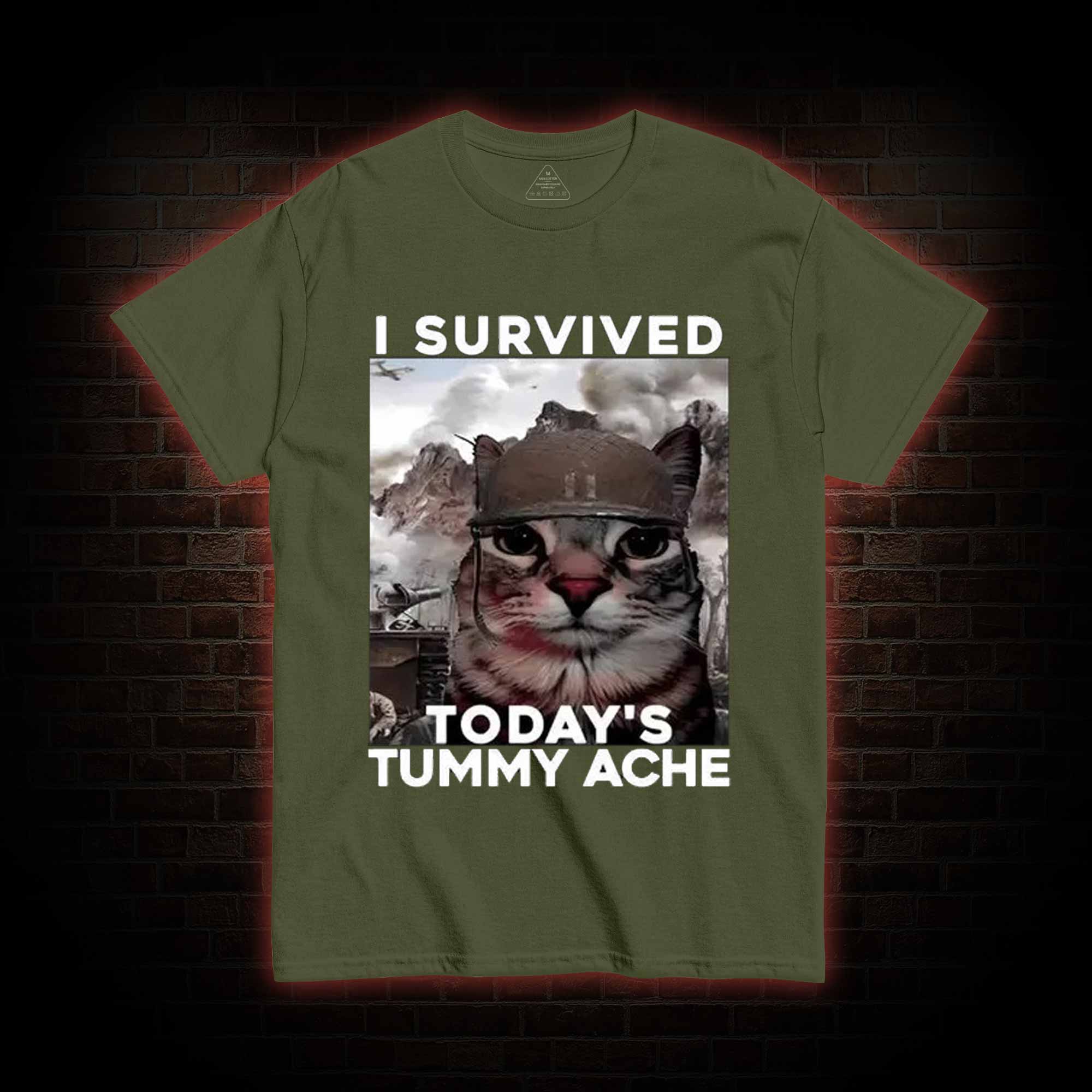 I Survived Today's Tummy Ache T-Shirt