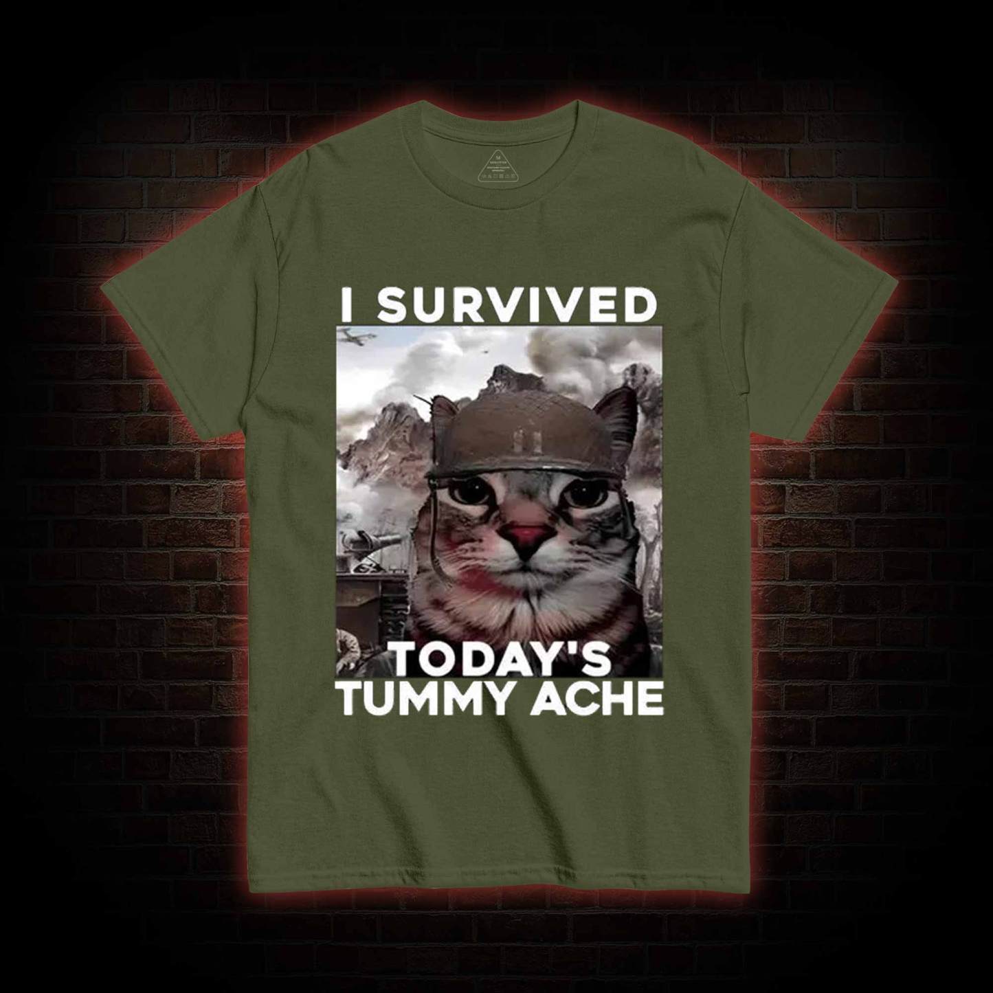 I Survived Today's Tummy Ache T-Shirt