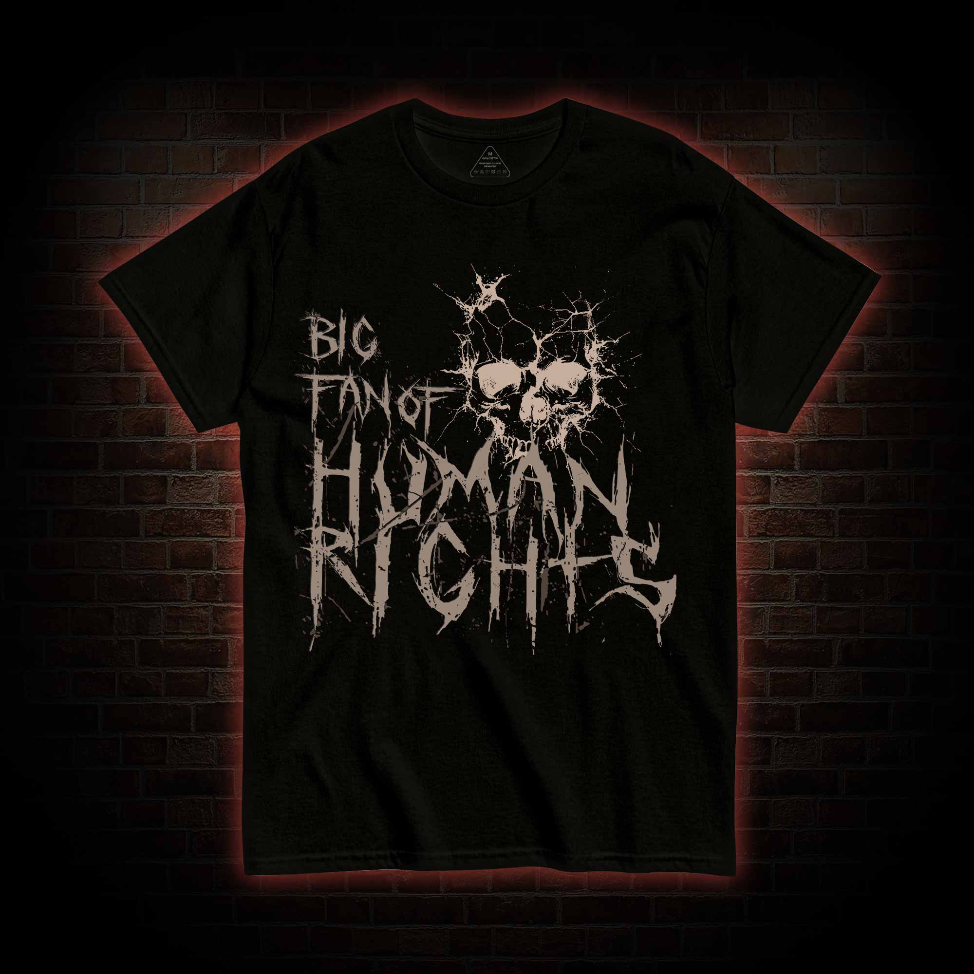 Big Fan of Human Rights T-shirt