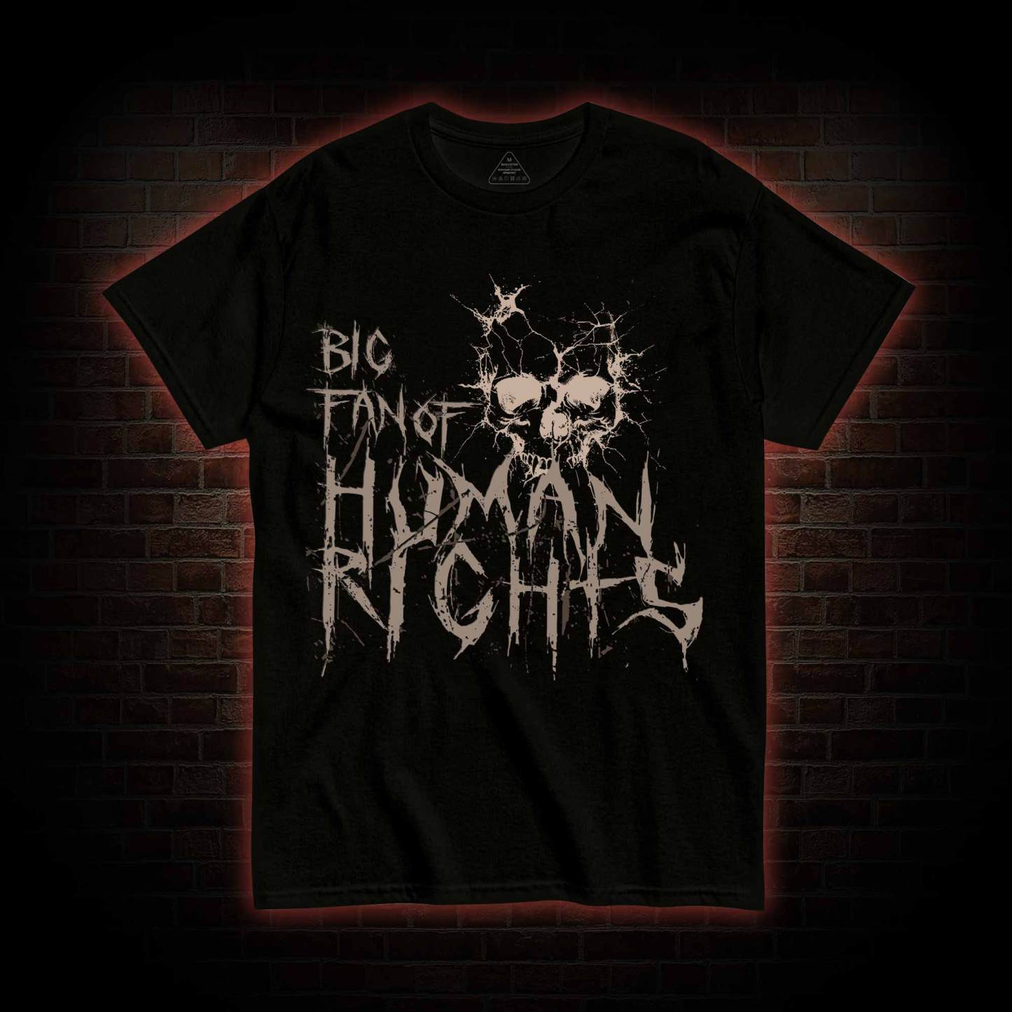 Big Fan of Human Rights T-shirt