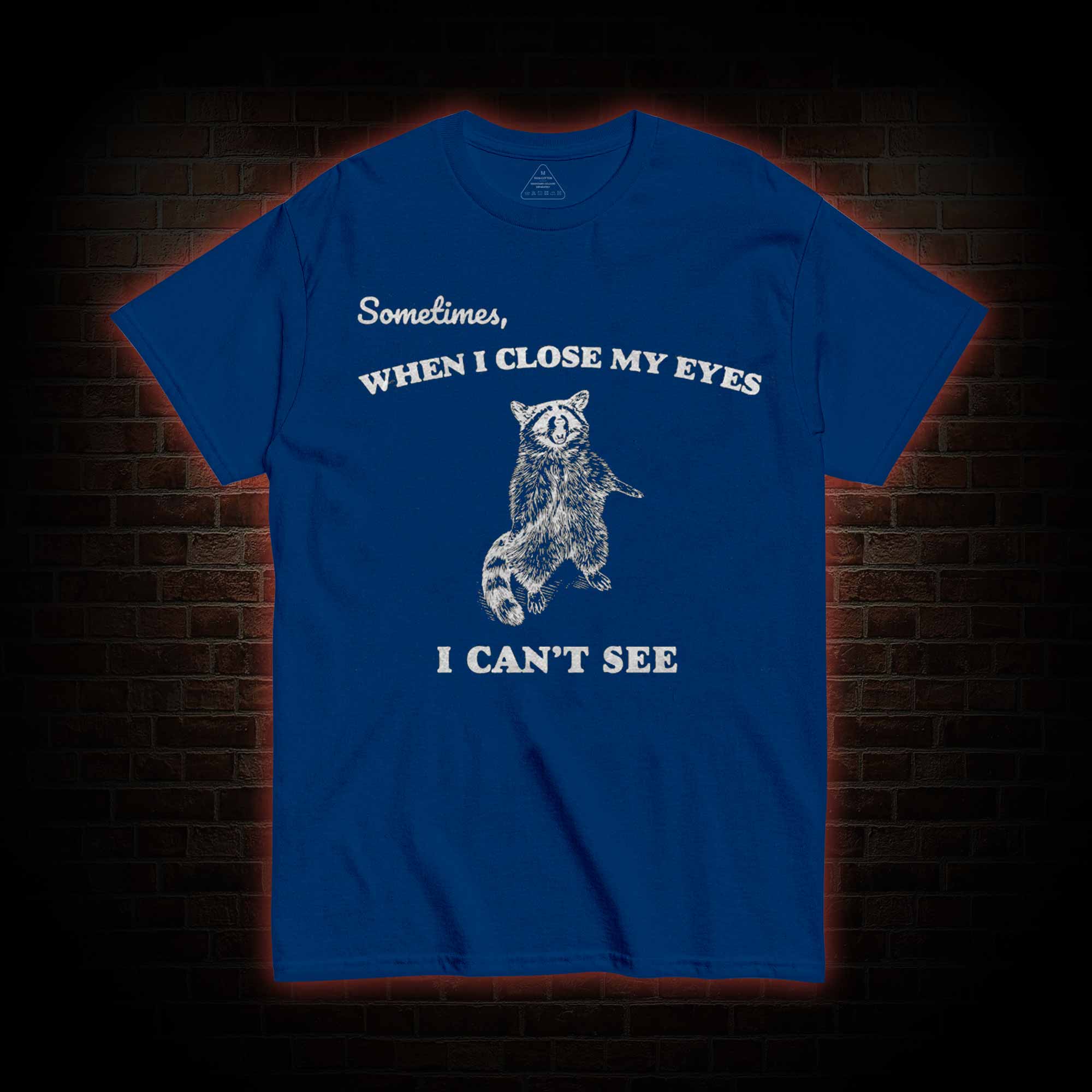 Sometimes When I Close My Eyes I Can't See T-shirt