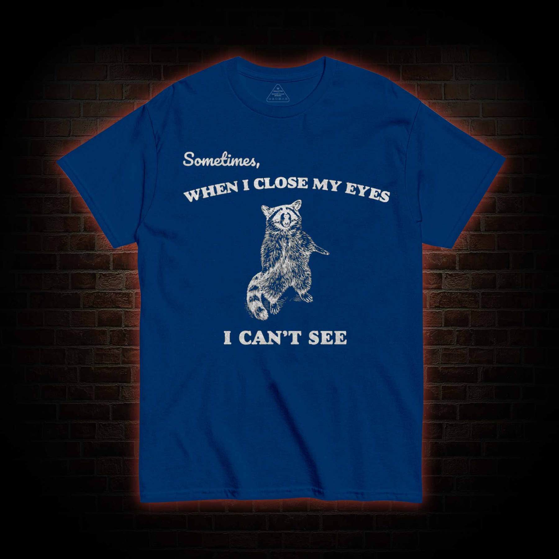 Sometimes When I Close My Eyes I Can't See T-shirt