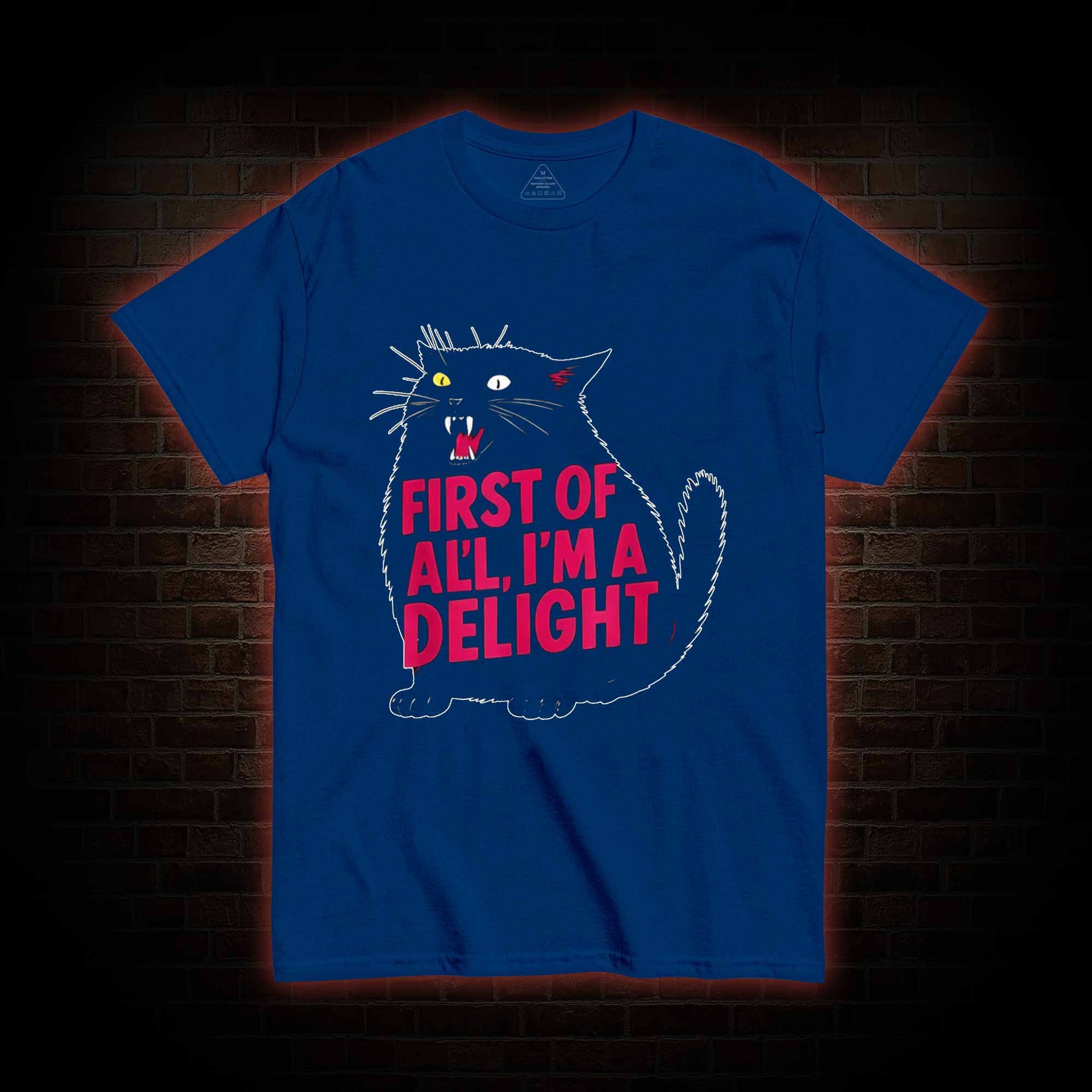 First of all I’m a Delight T-shirt