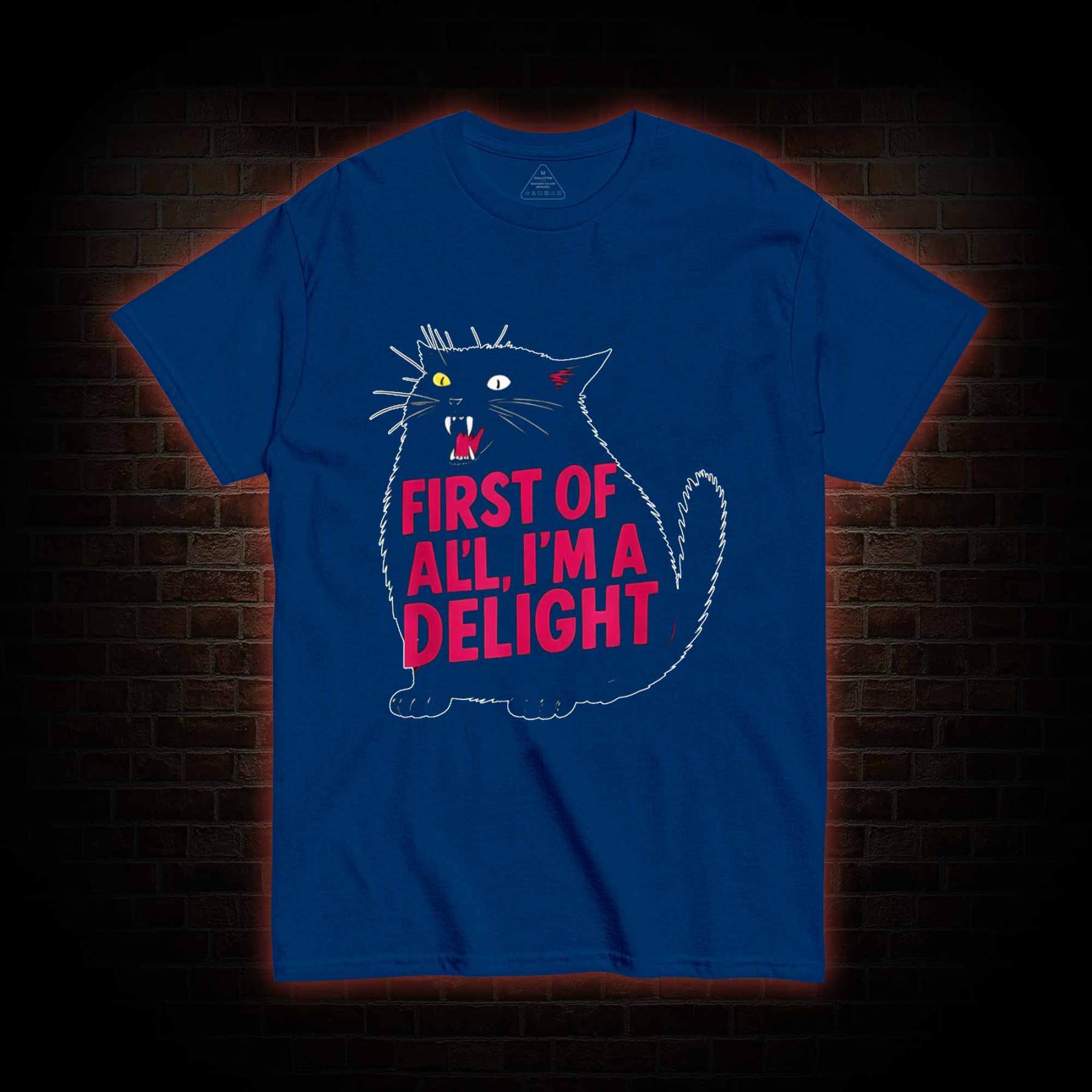 First of all I’m a Delight T-shirt