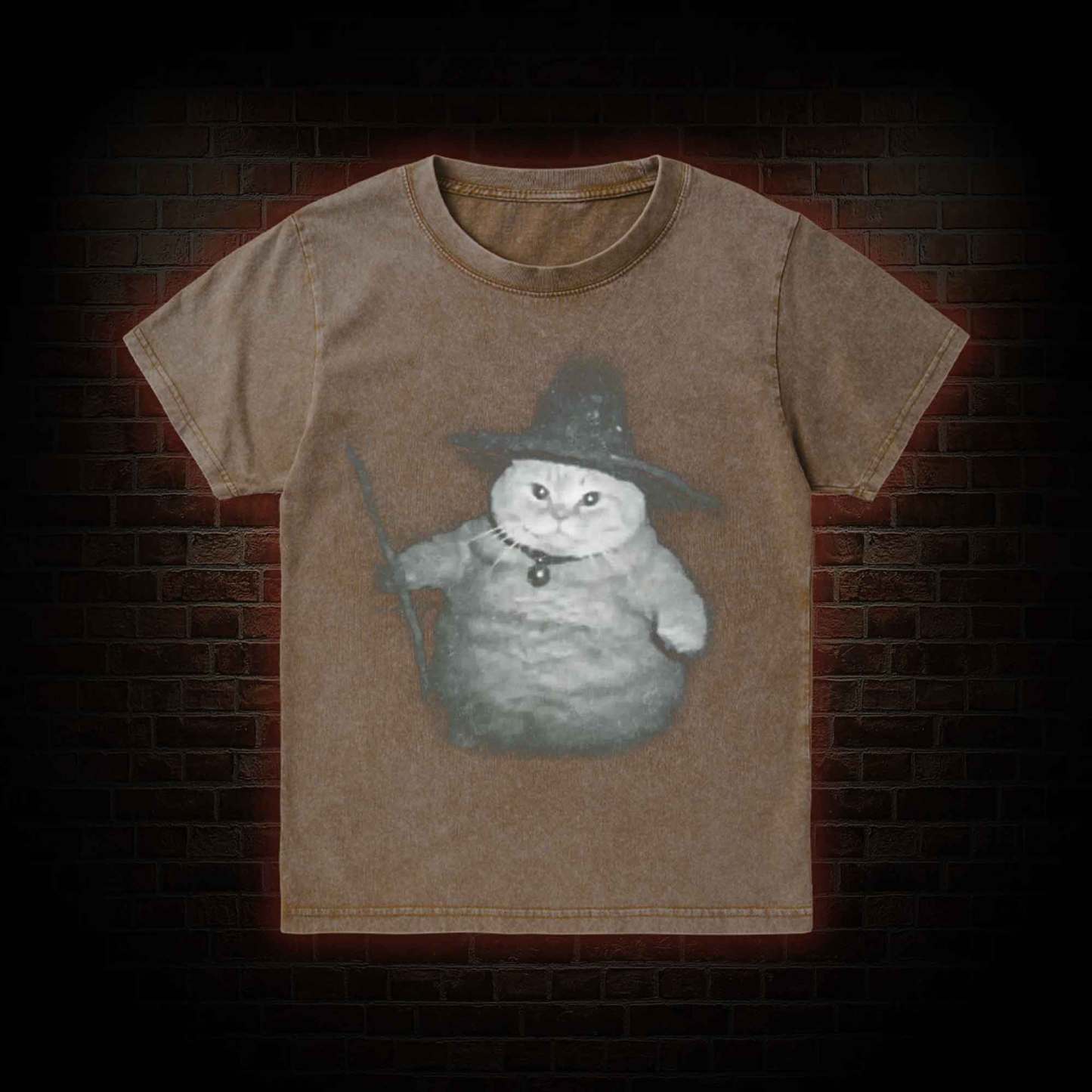 Wizard Cat Kid Washed T-Shirt