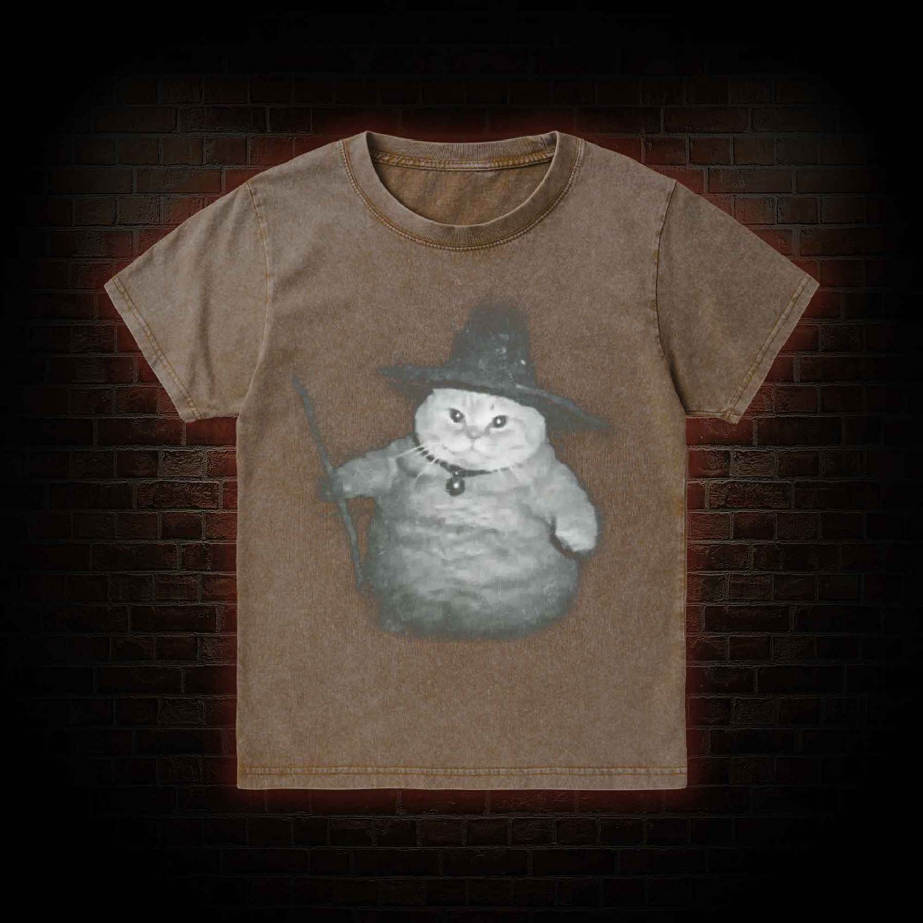 Wizard Cat Kid Washed T-Shirt